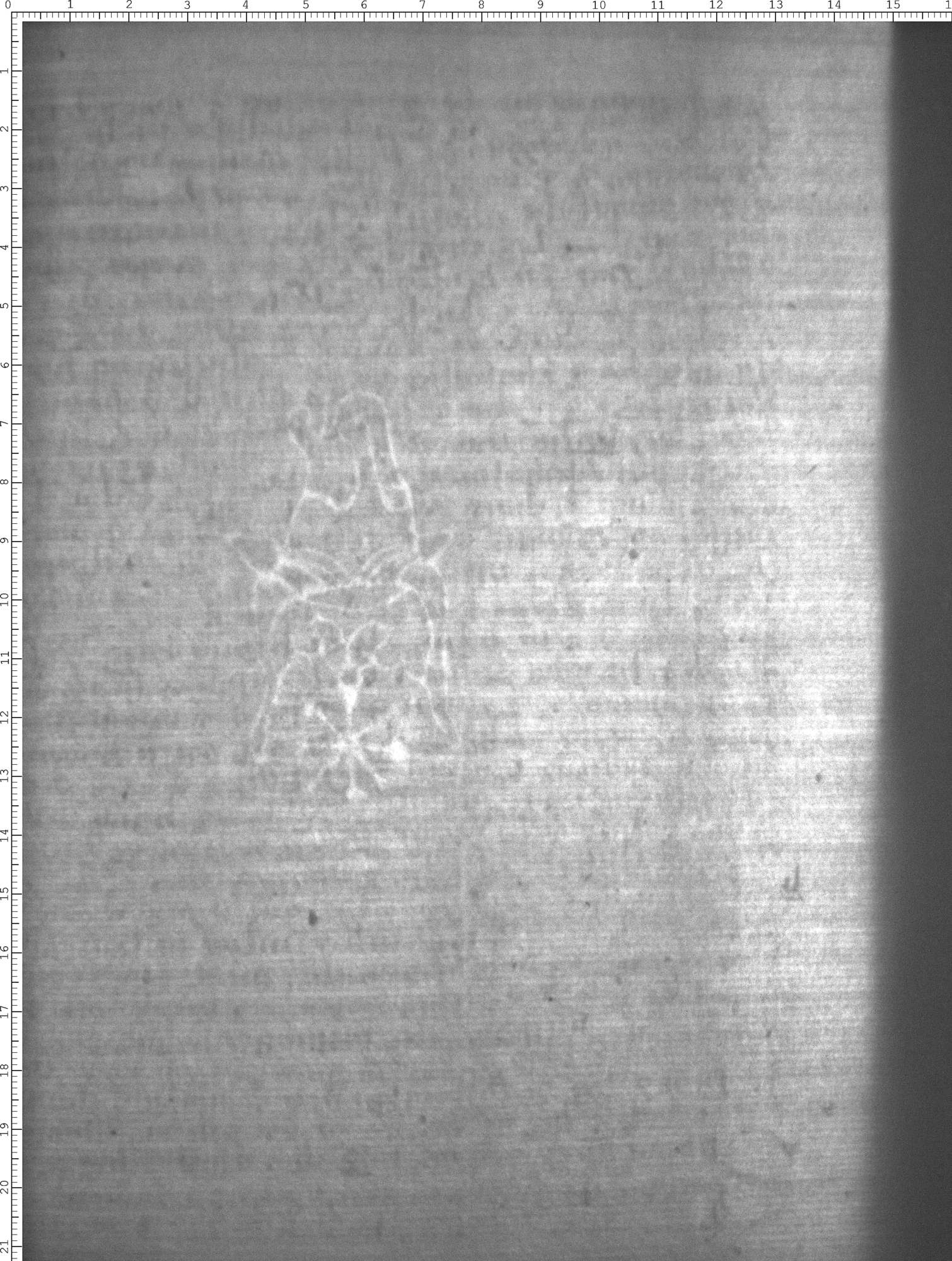 Watermark