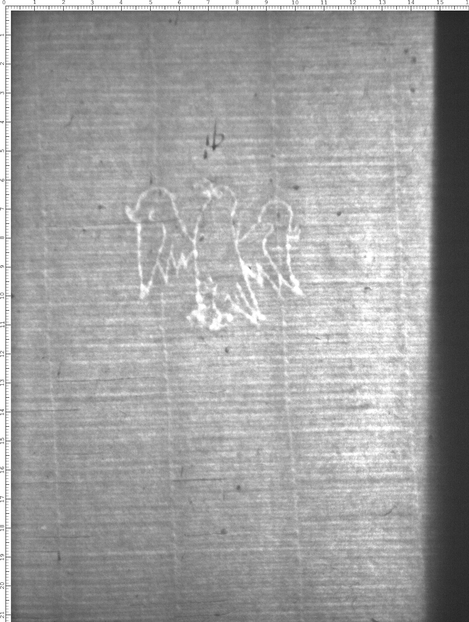 Watermark