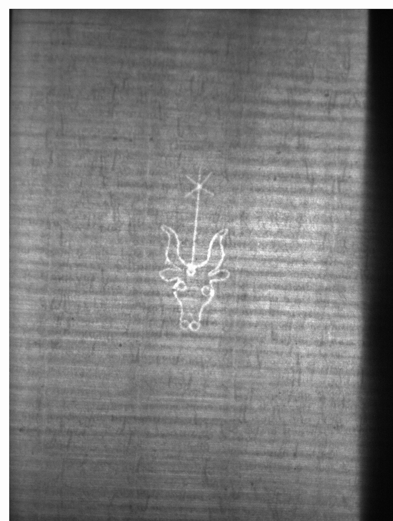 Watermark