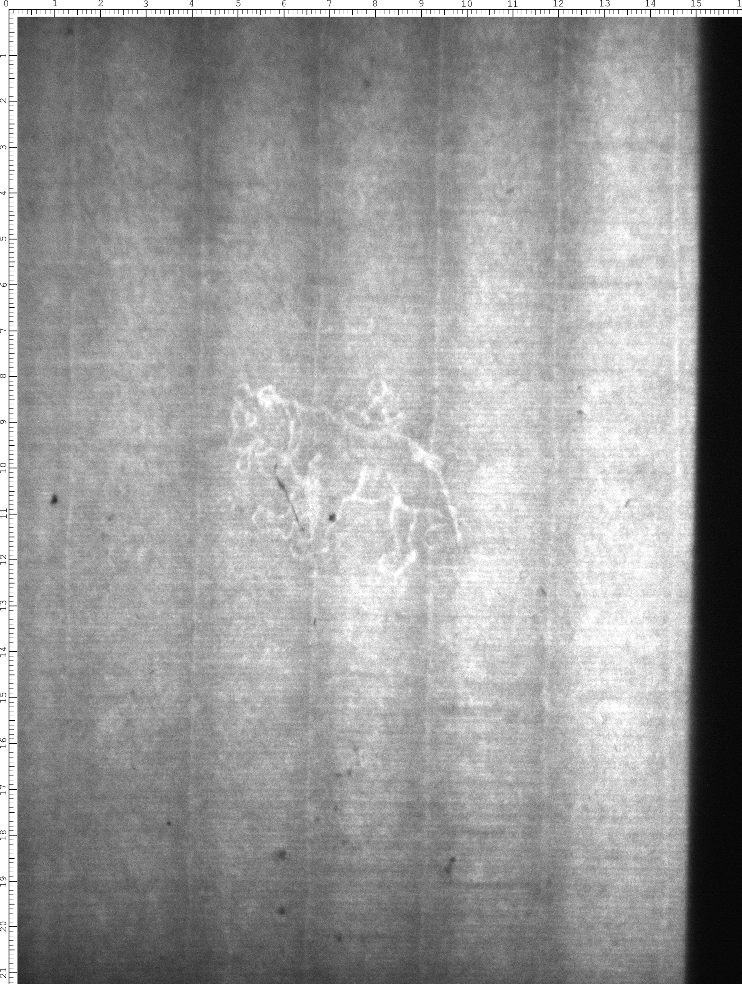 Watermark