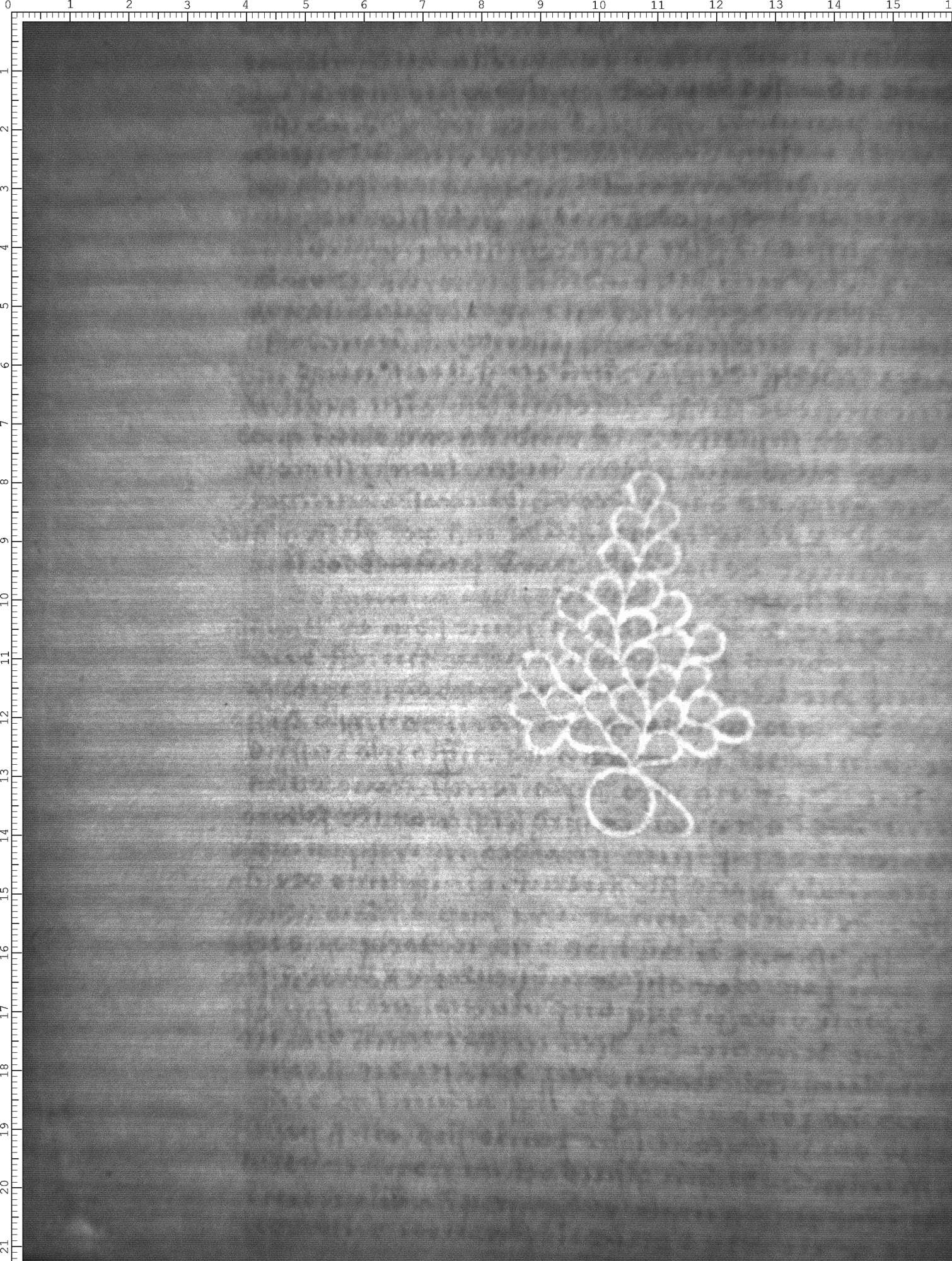 Watermark