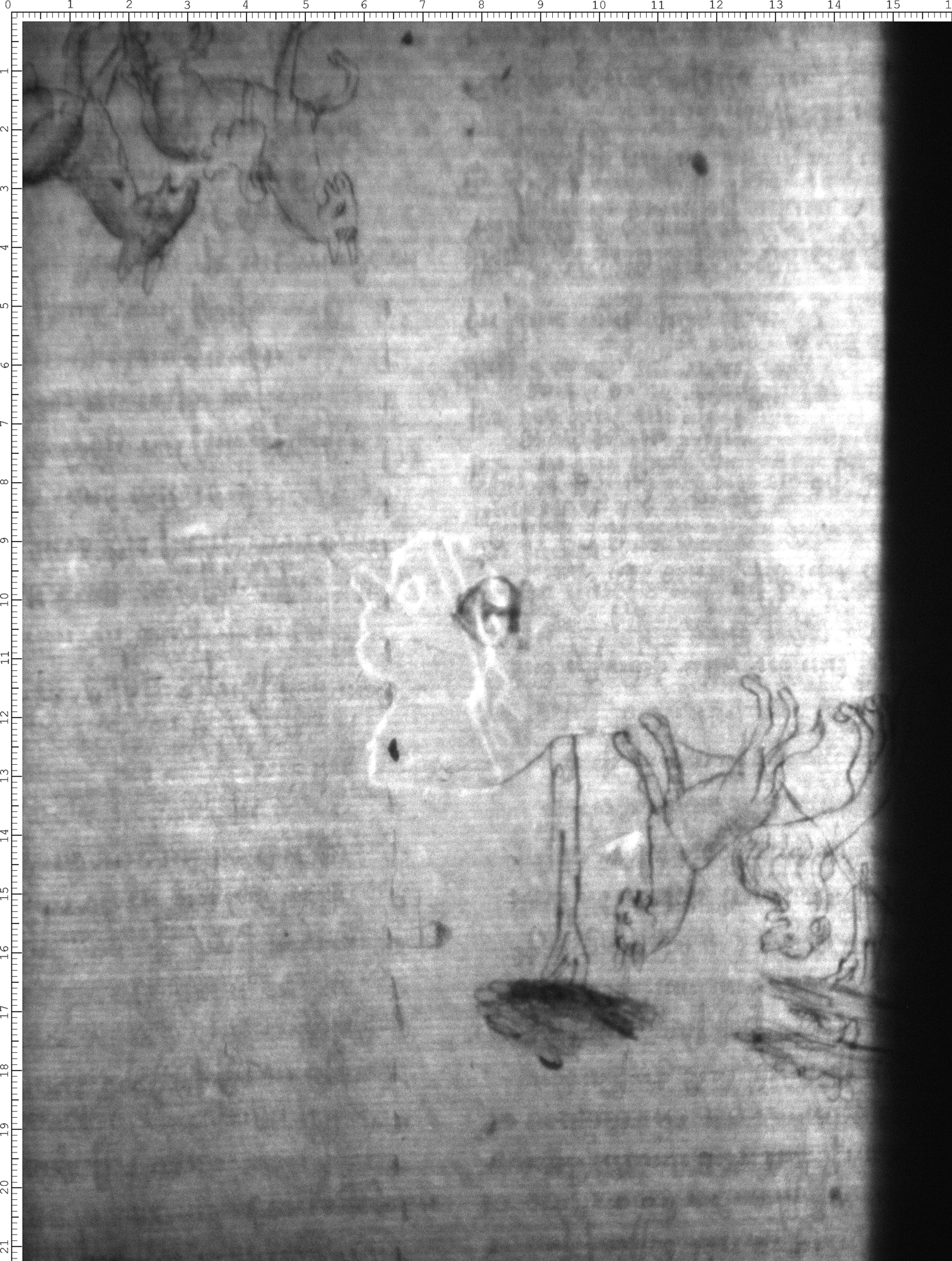 Watermark