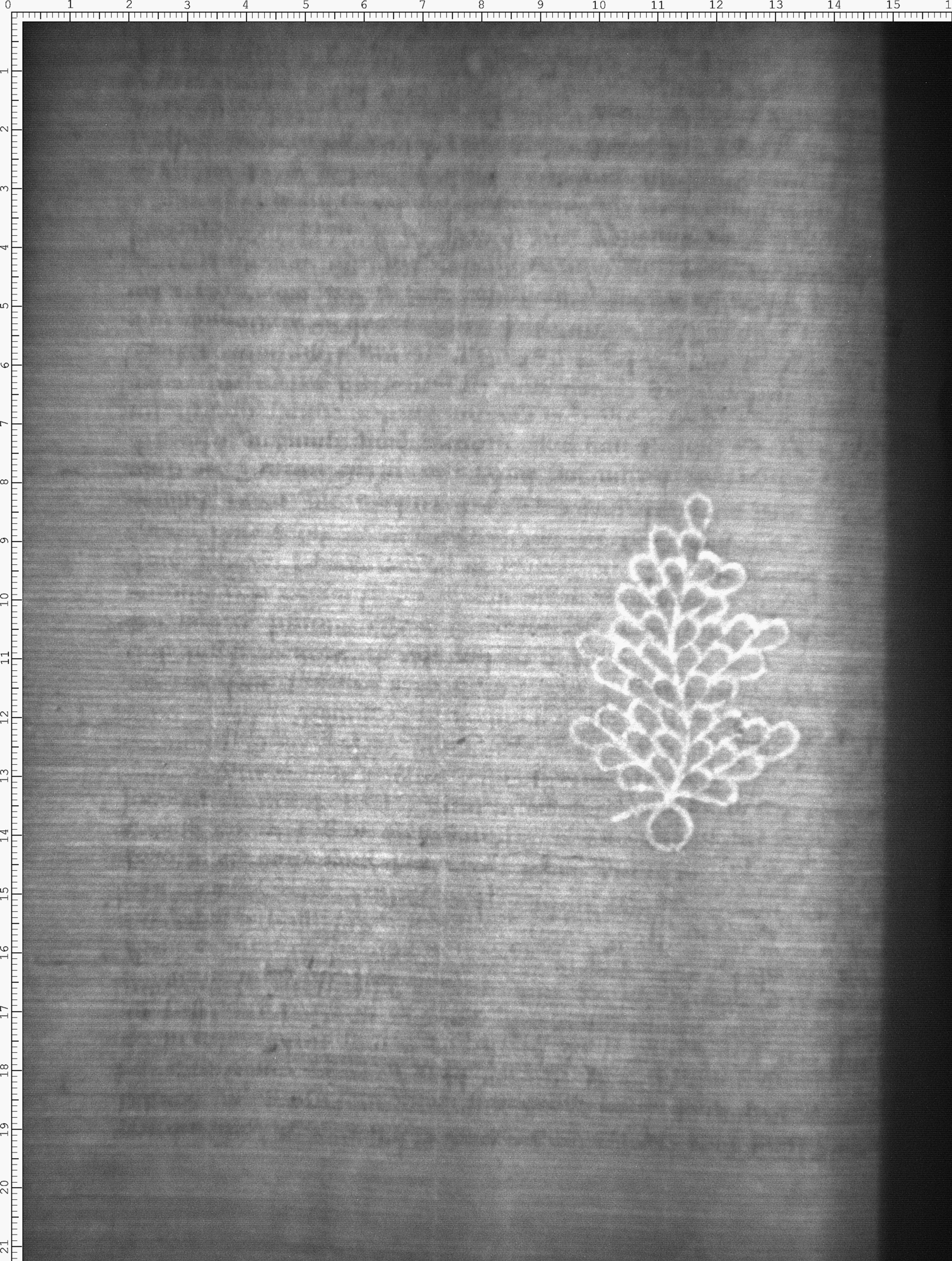 Watermark