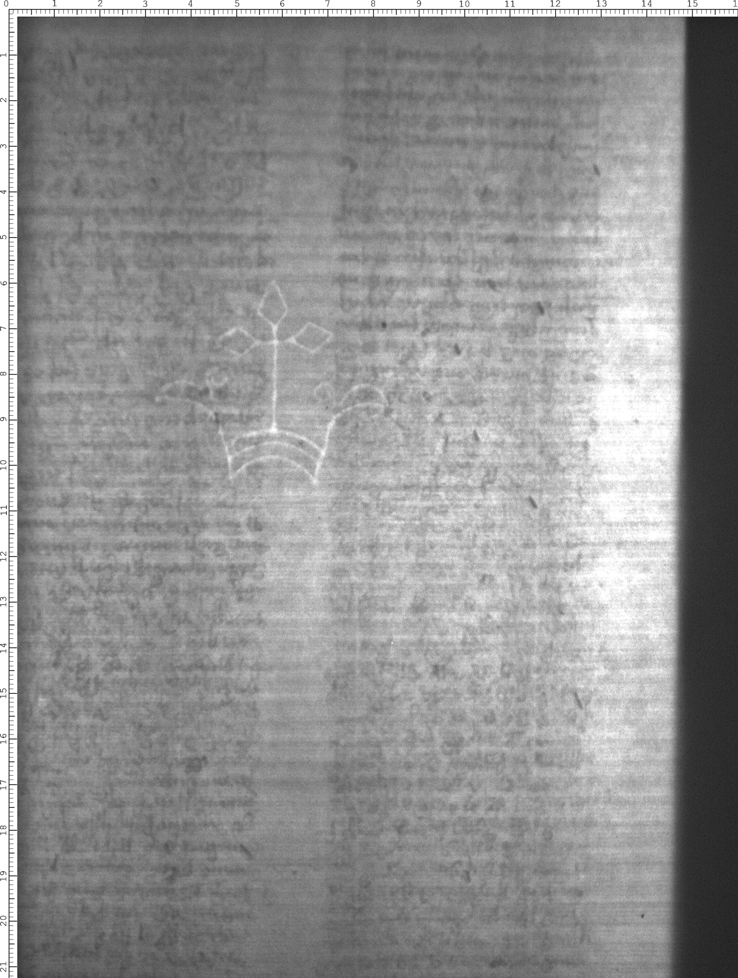 Watermark