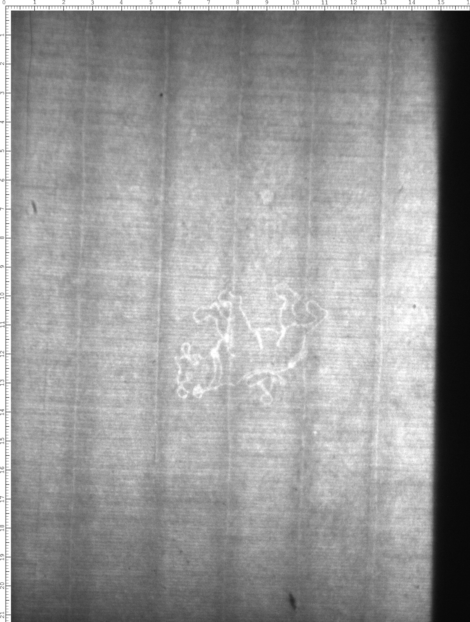 Watermark
