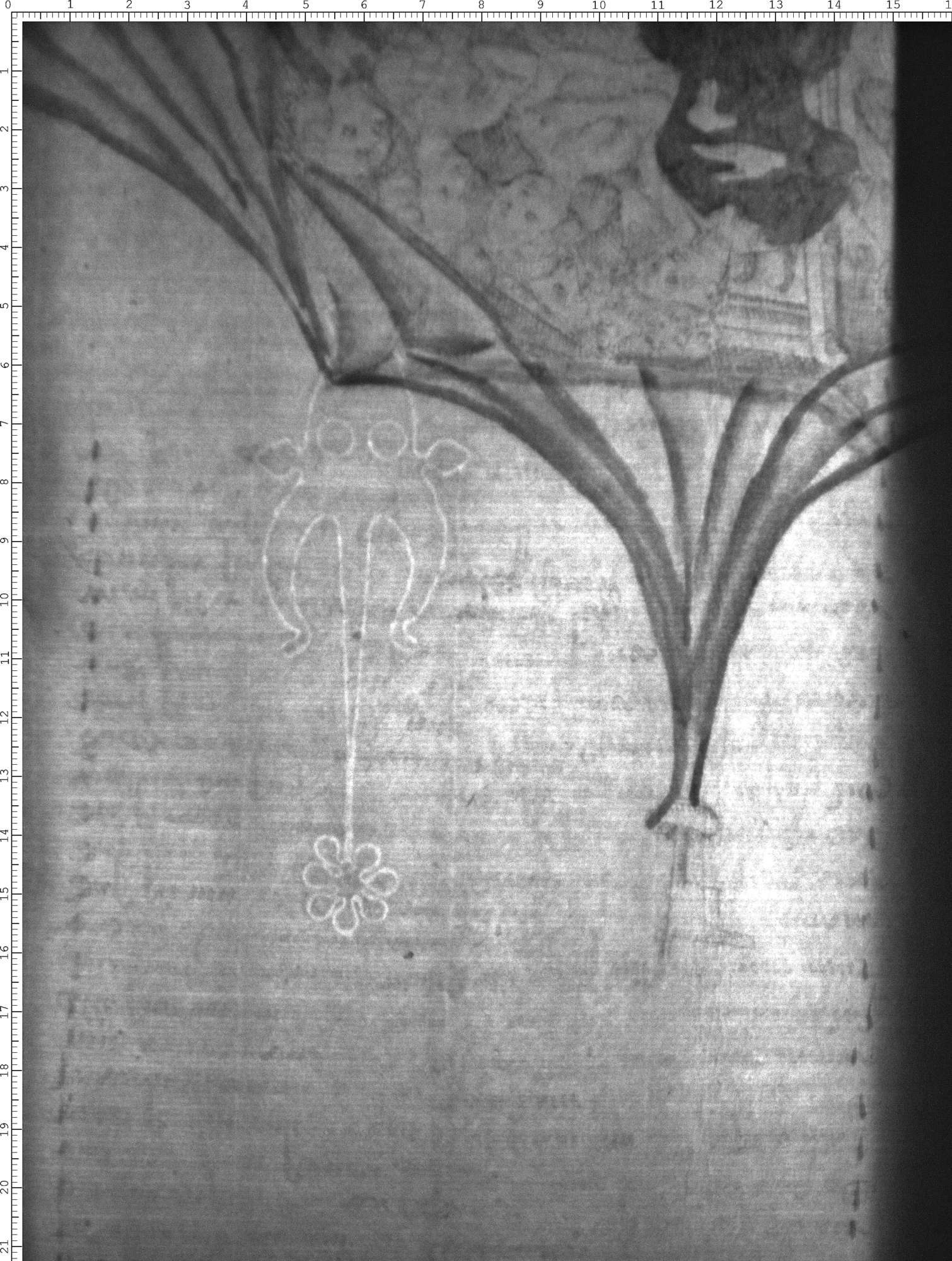 Watermark