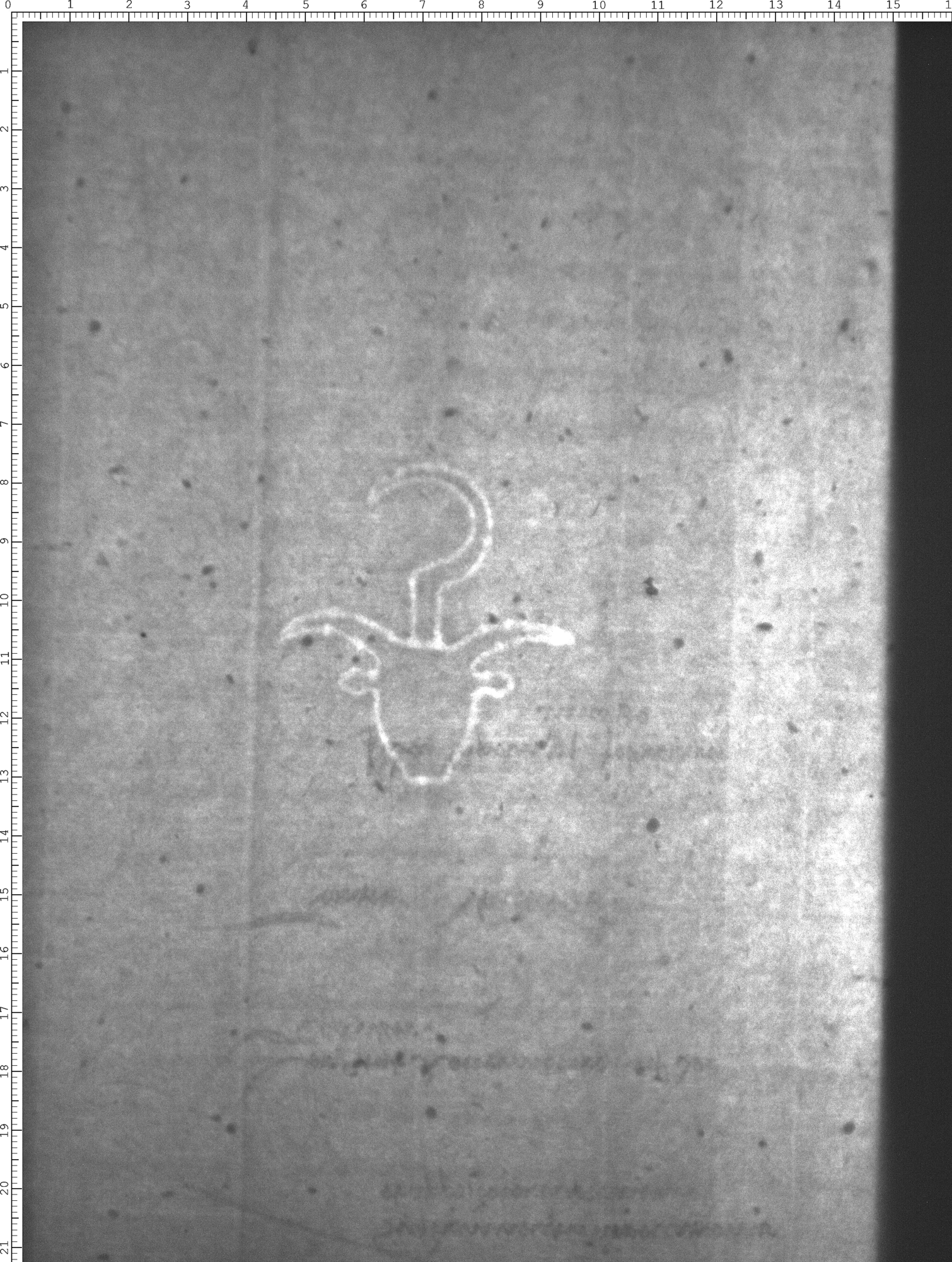 Watermark