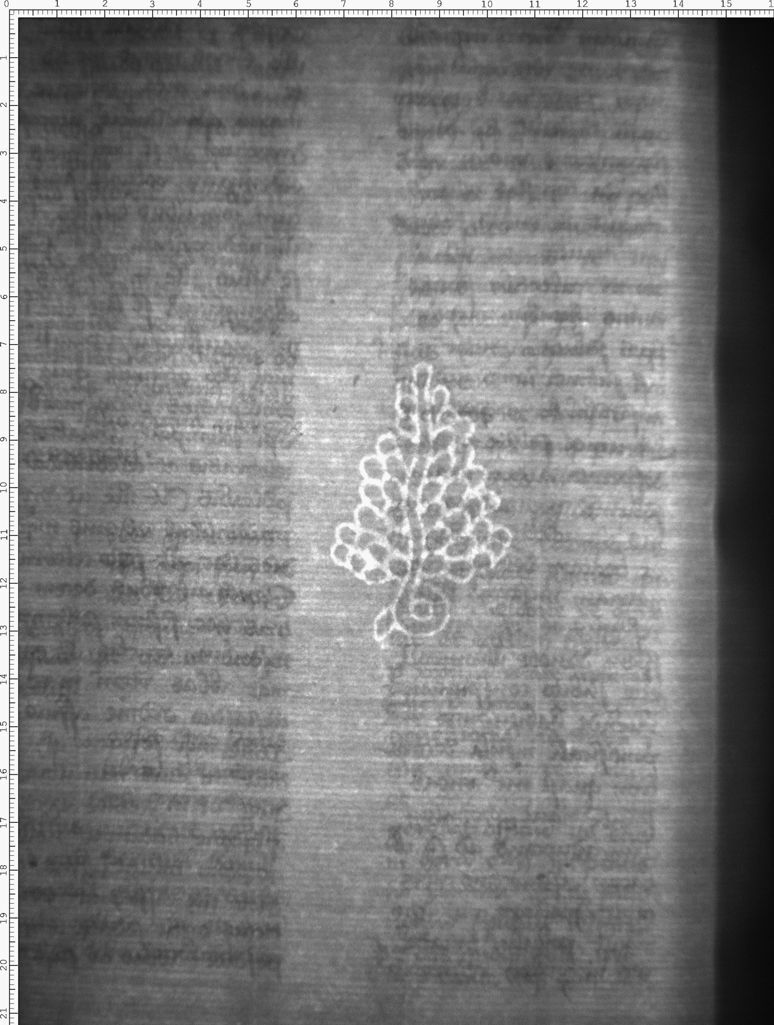 Watermark