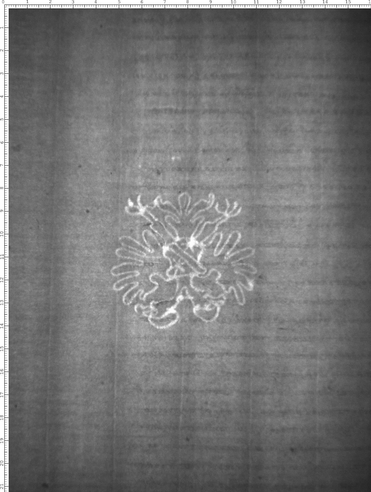 Watermark