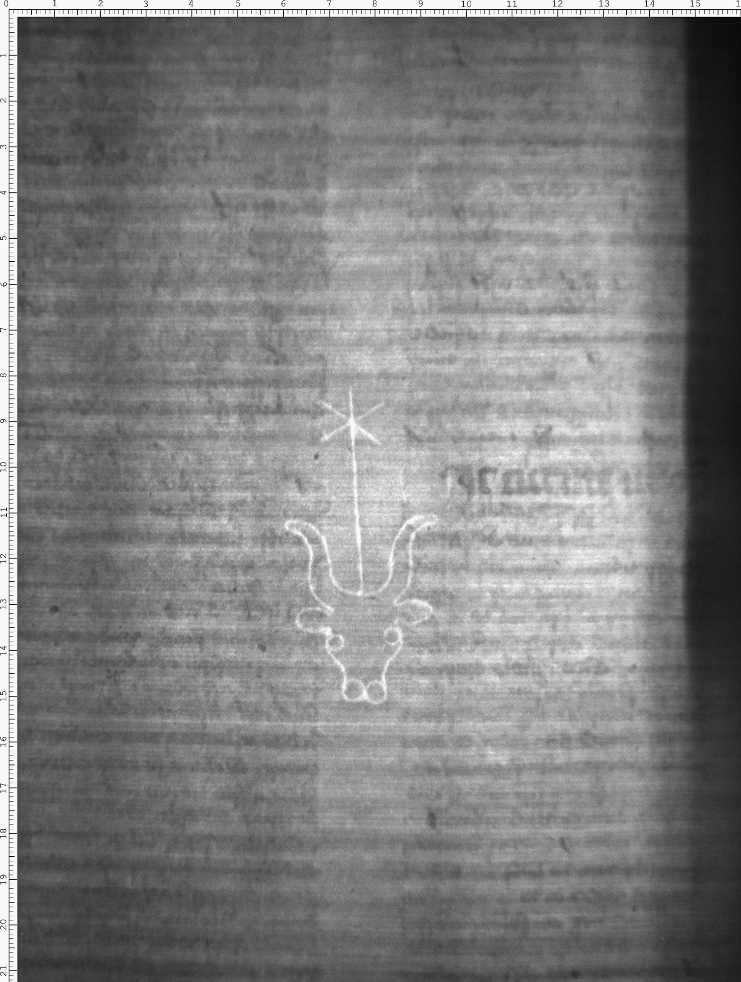 Watermark