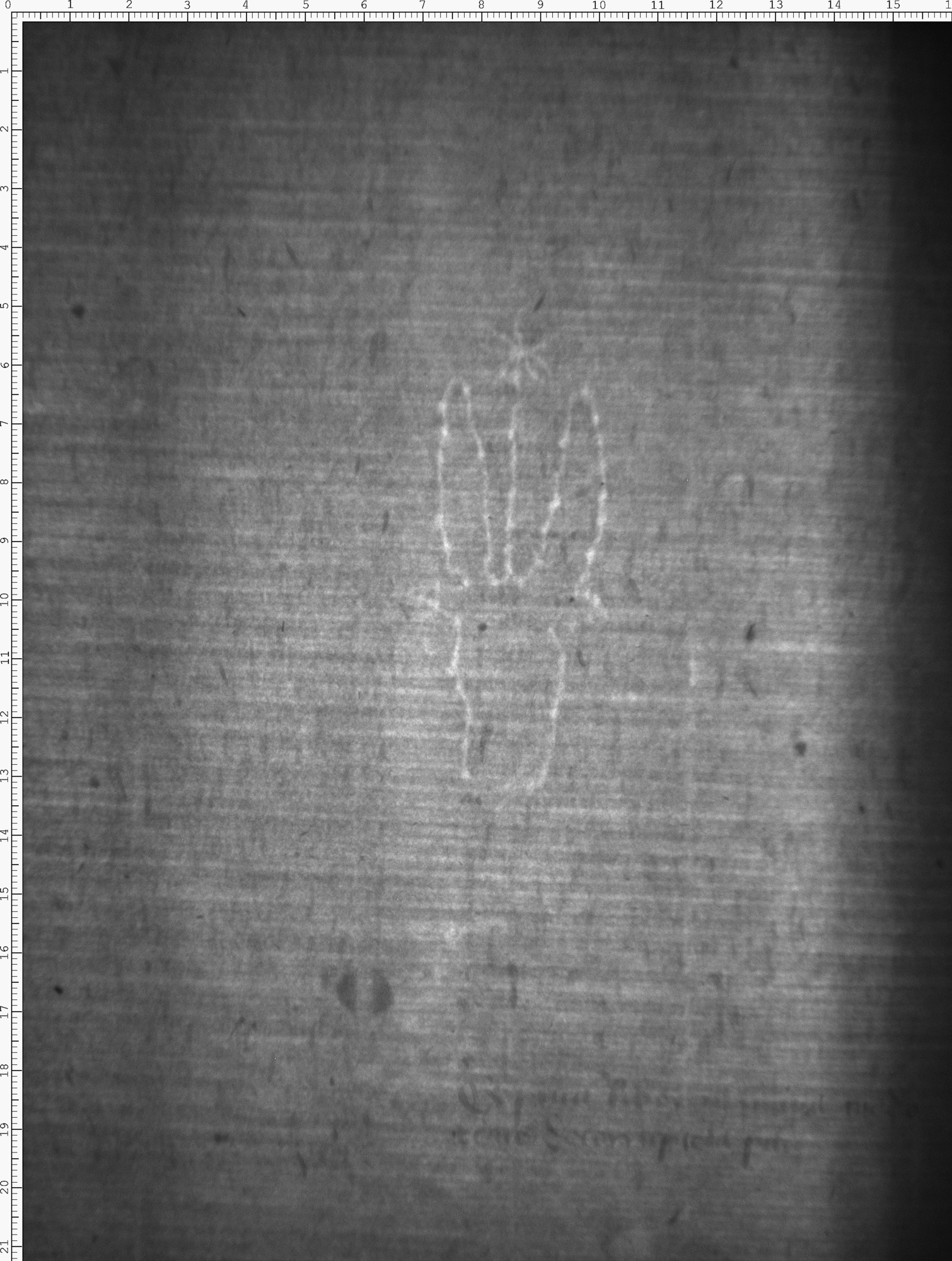 Watermark