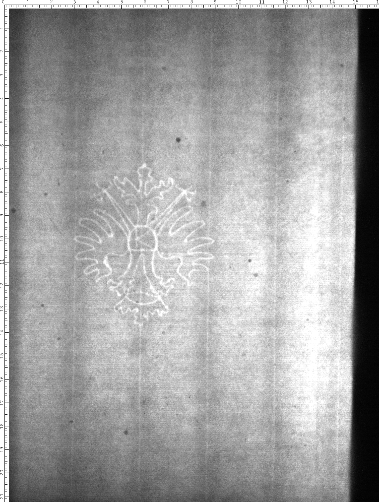 Watermark