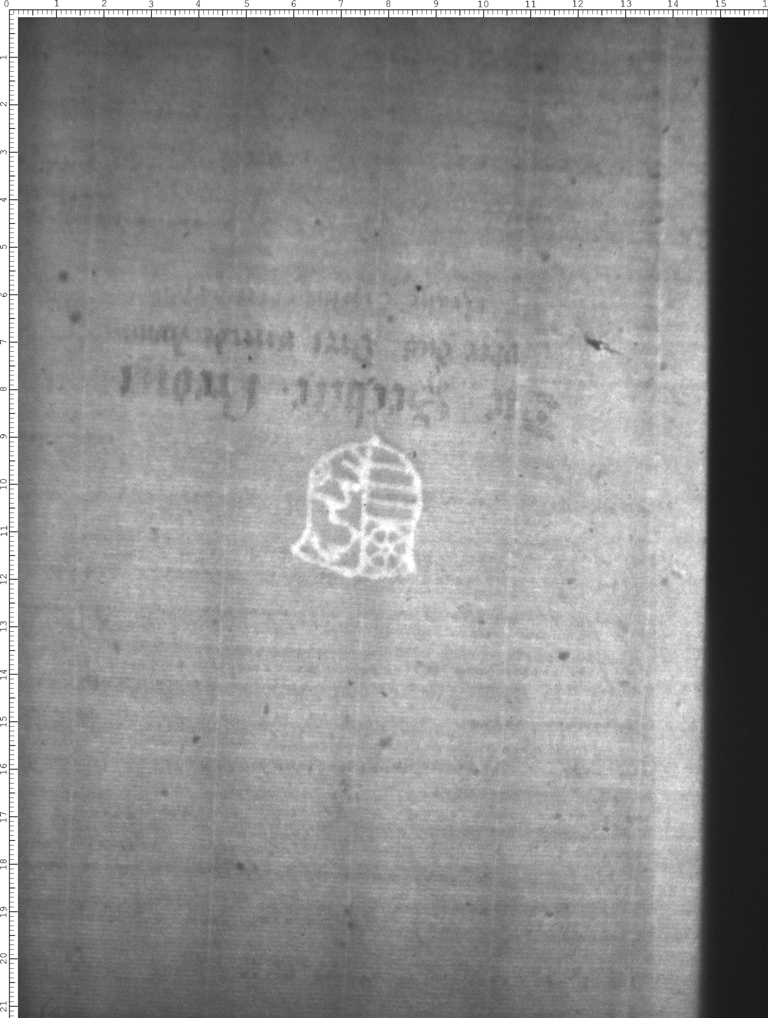 Watermark