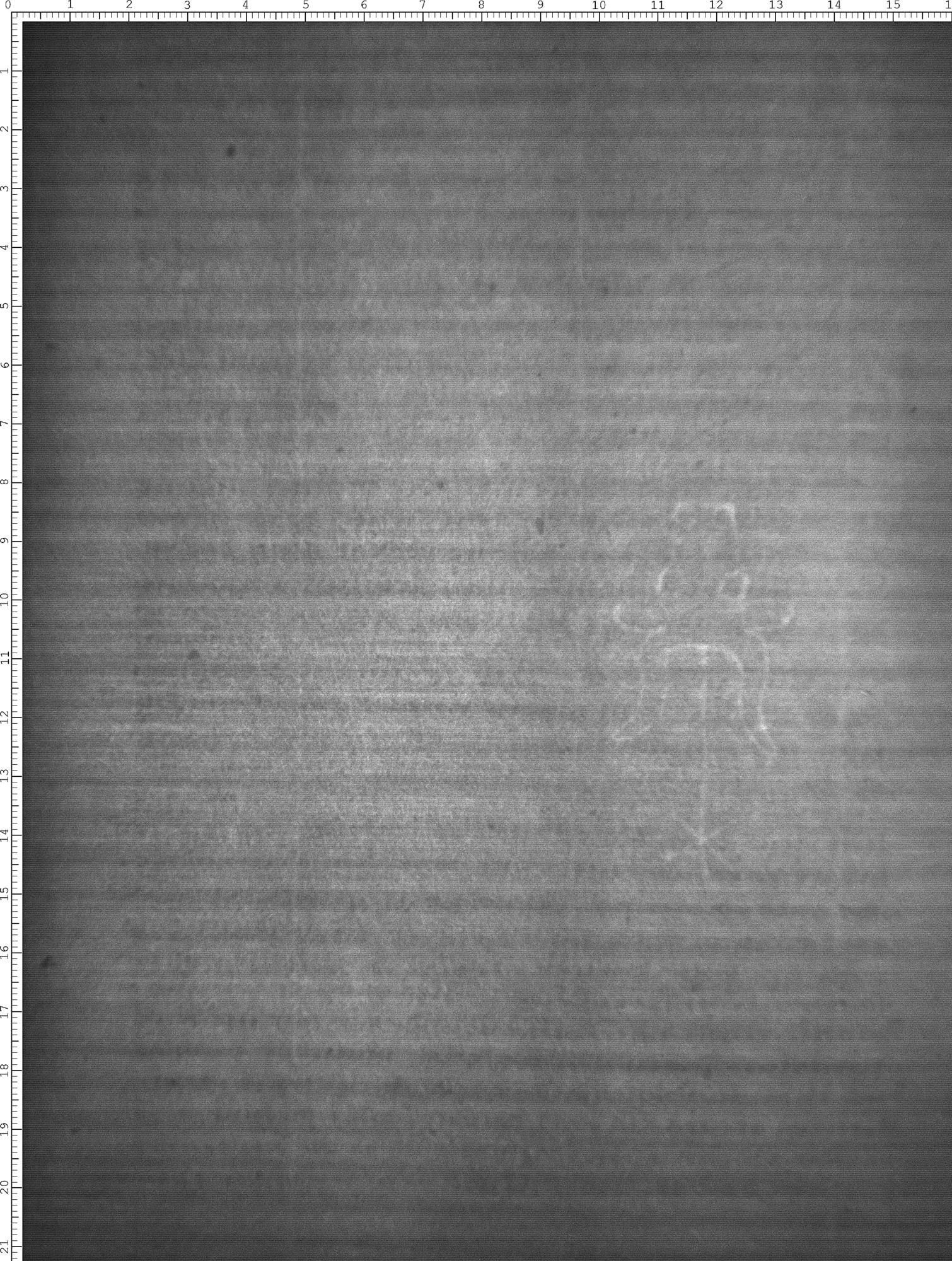 Watermark
