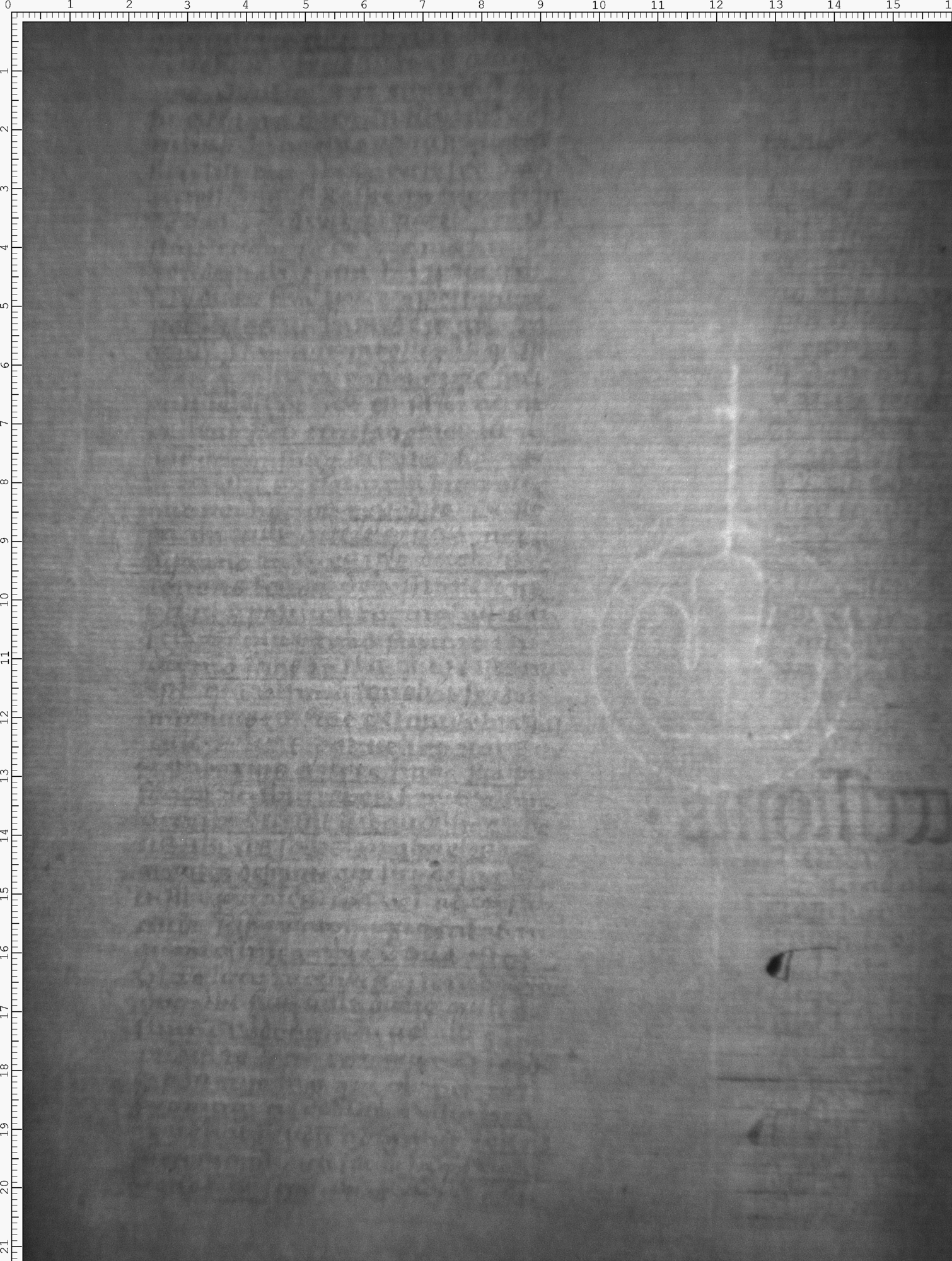 Watermark