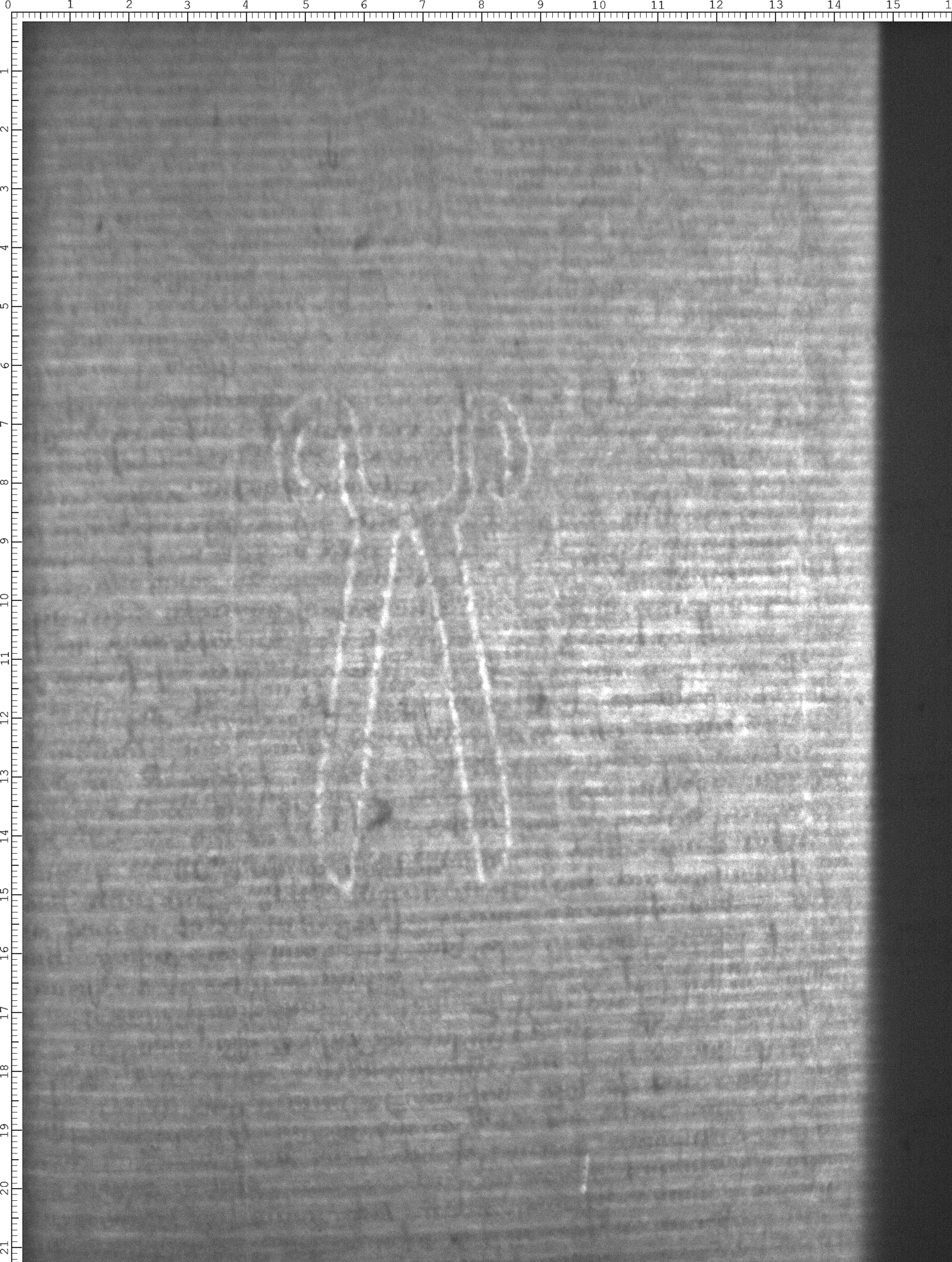 Watermark