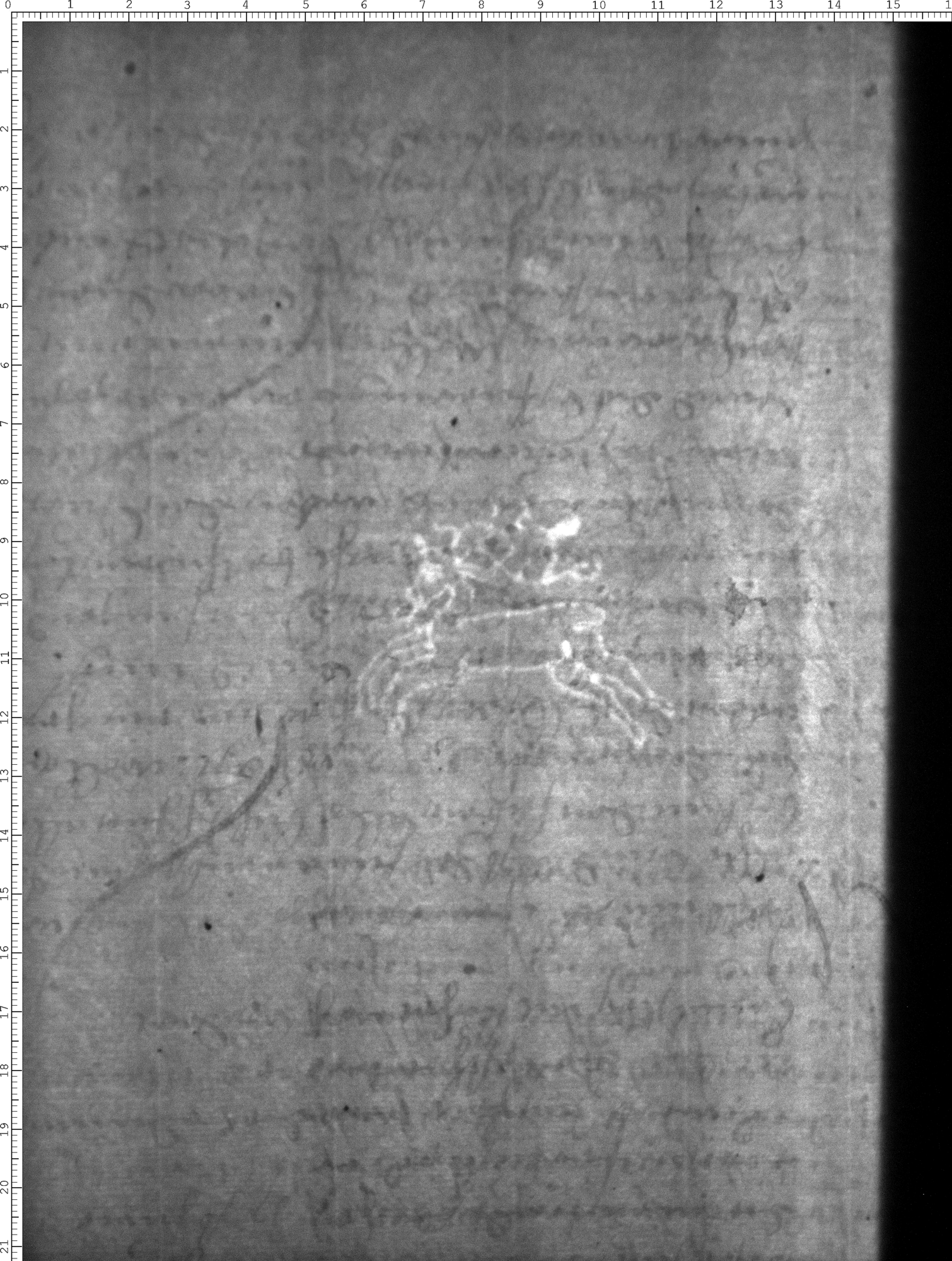 Watermark