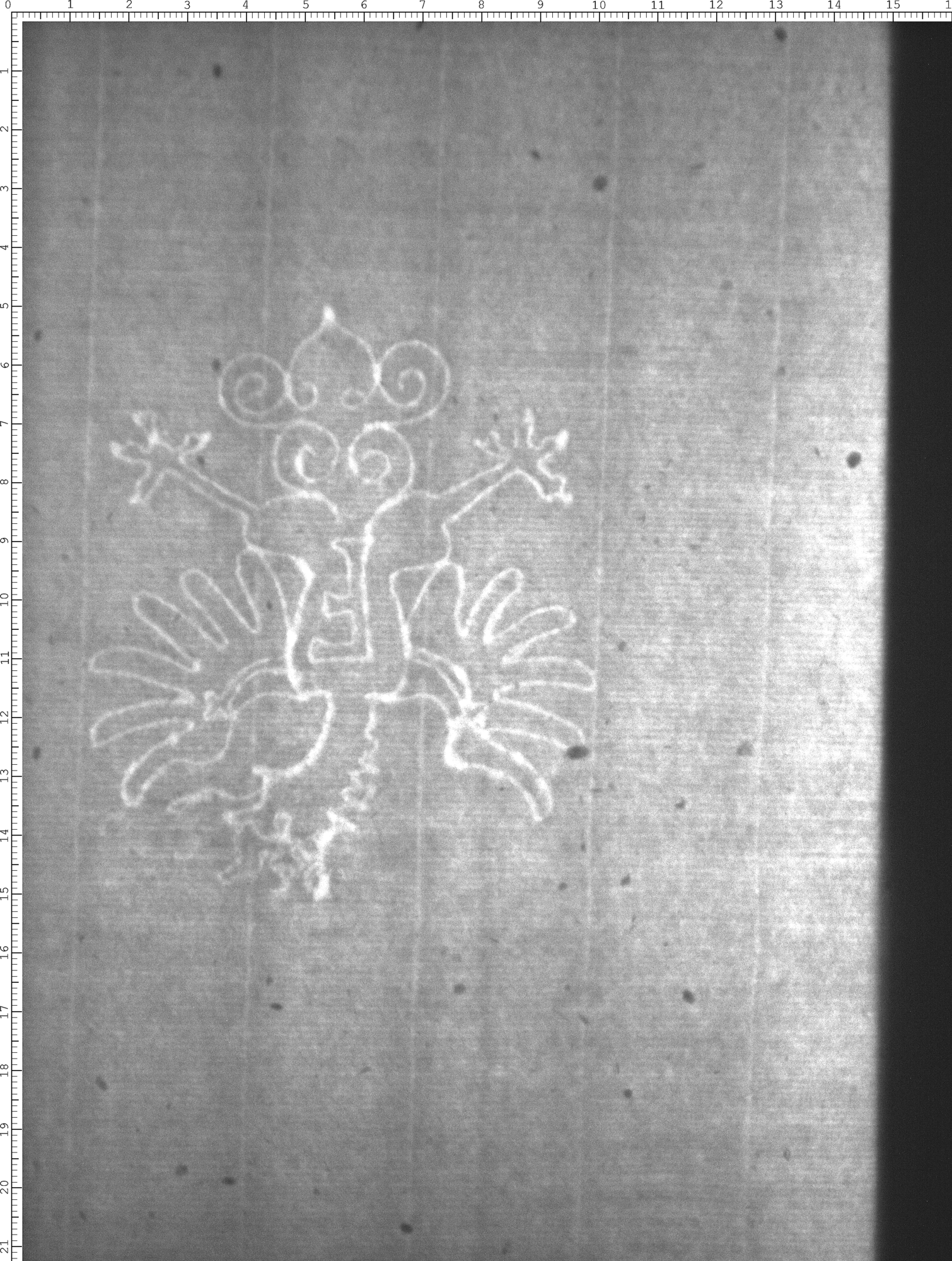 Watermark