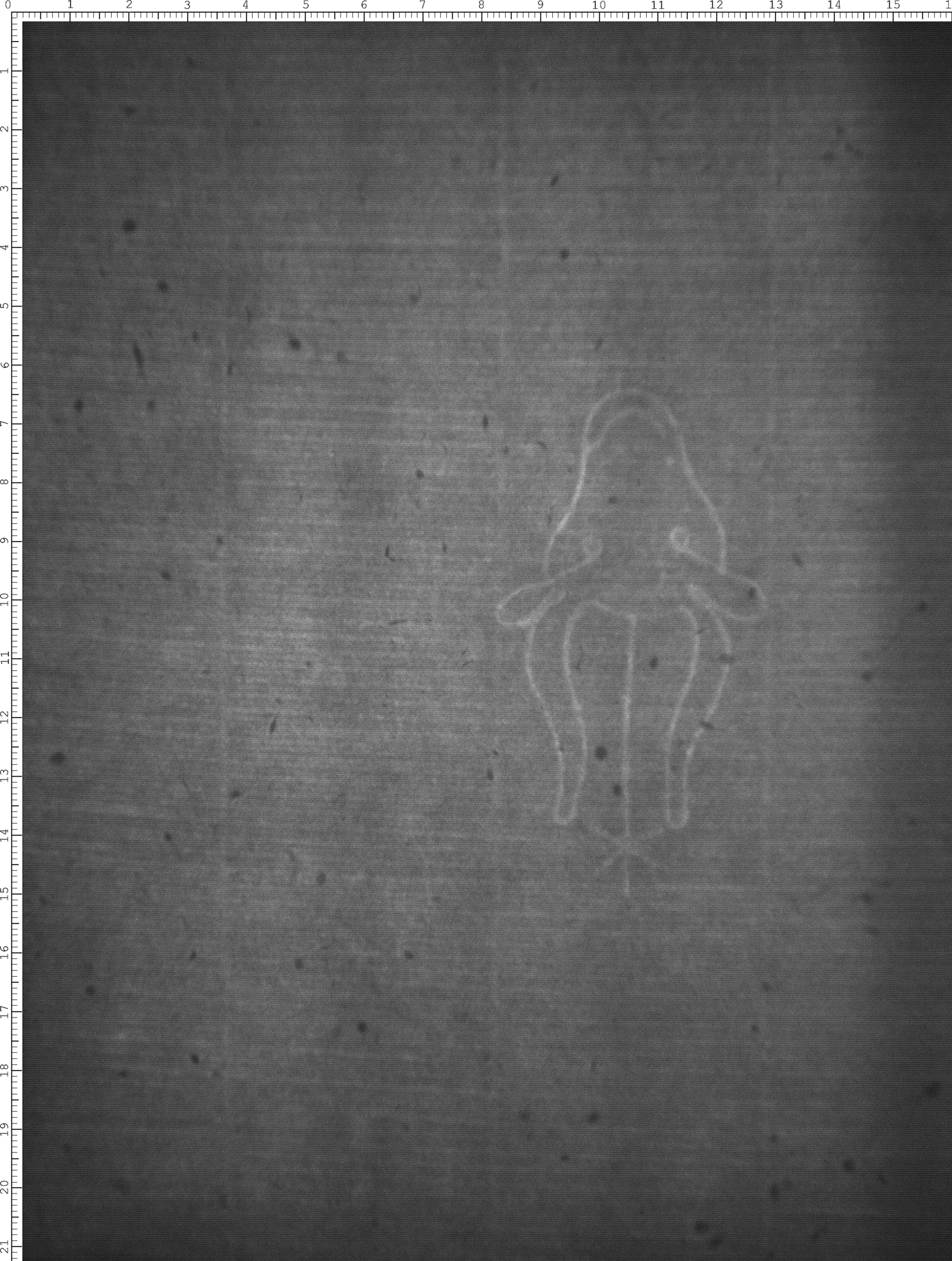 Watermark