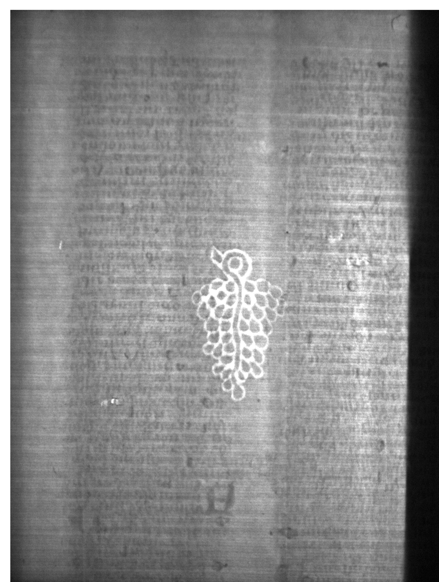 Watermark