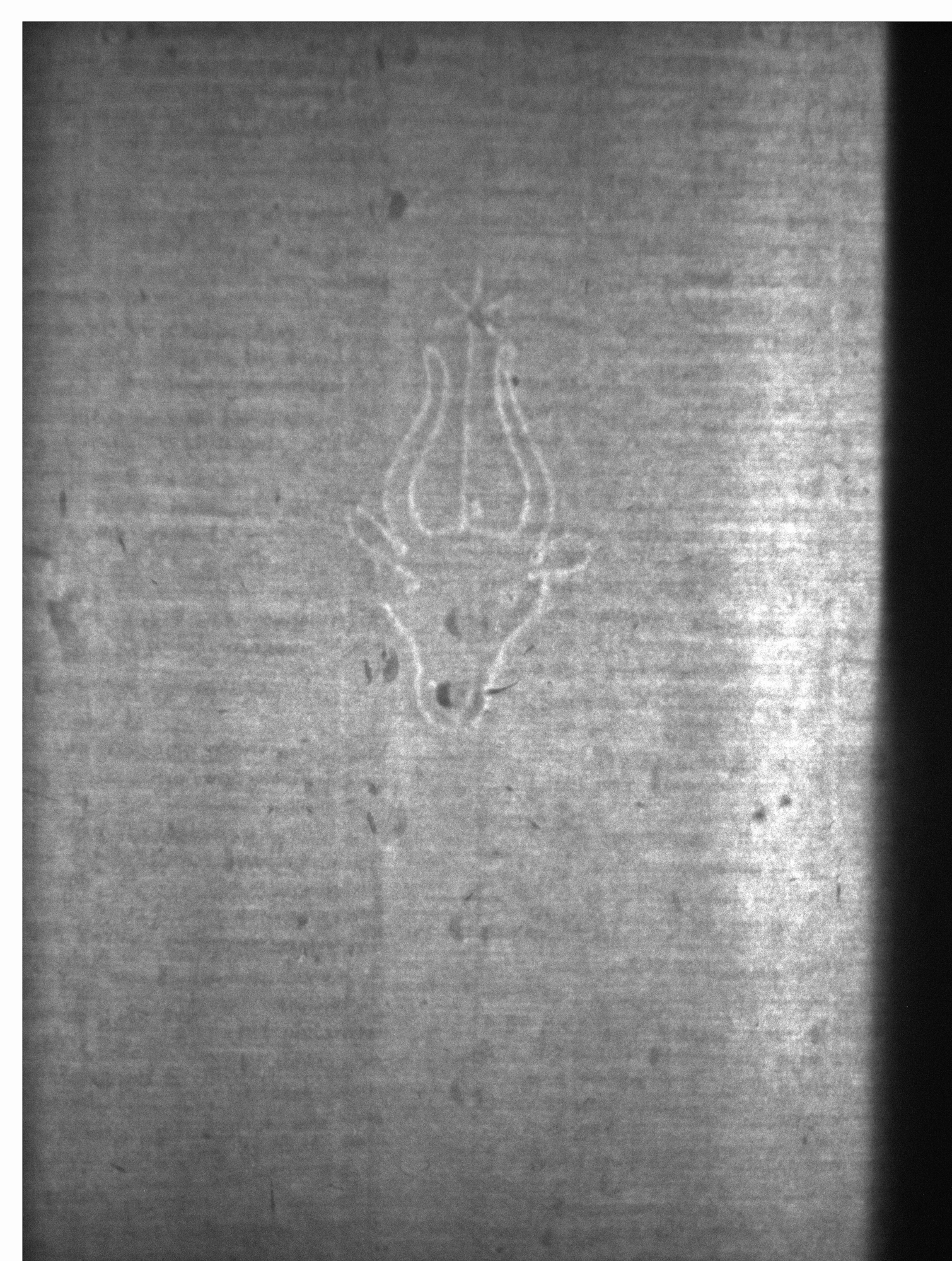 Watermark