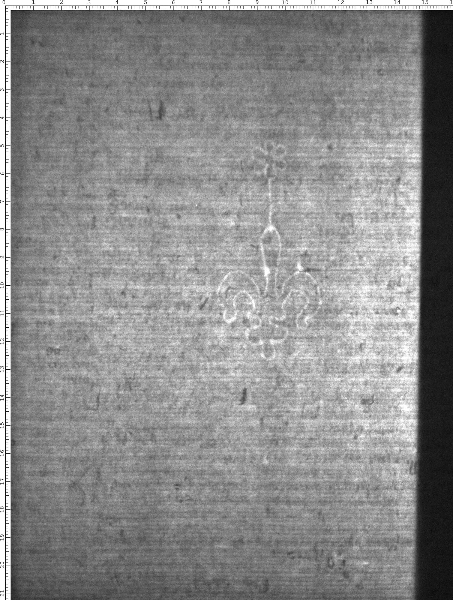 Watermark