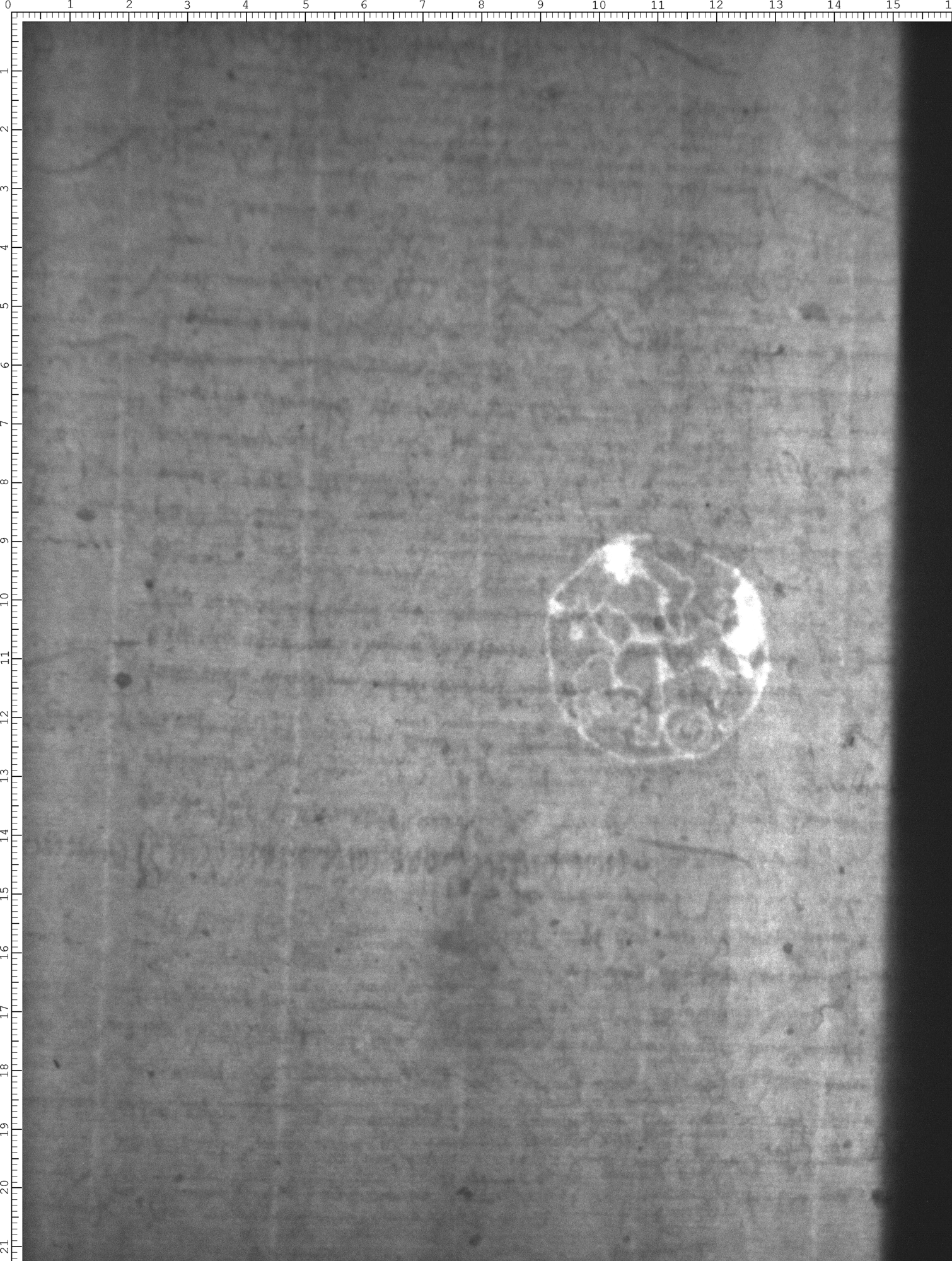 Watermark