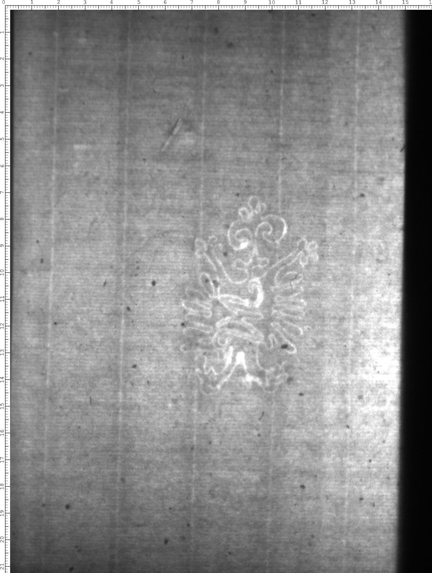 Watermark