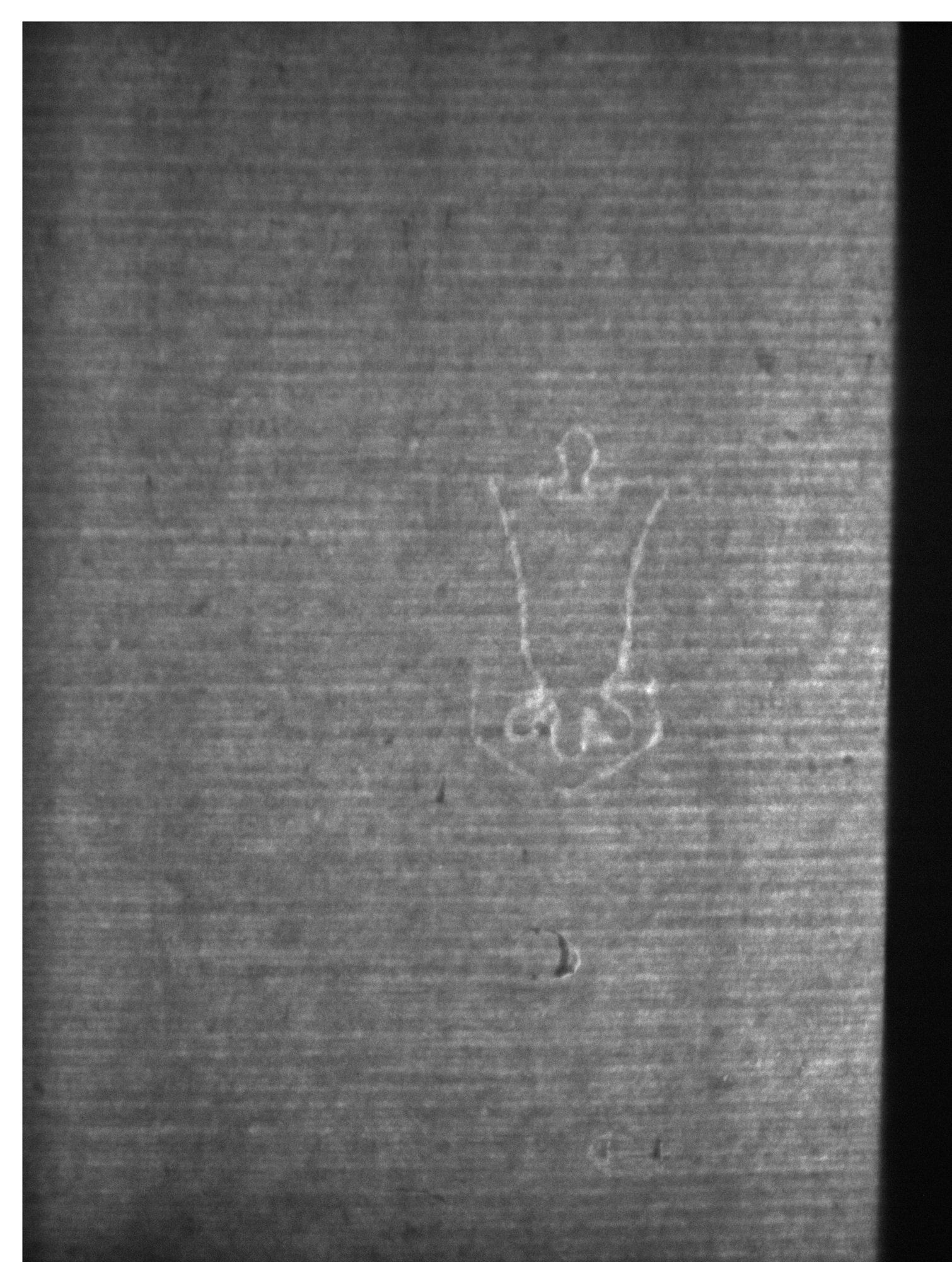 Watermark