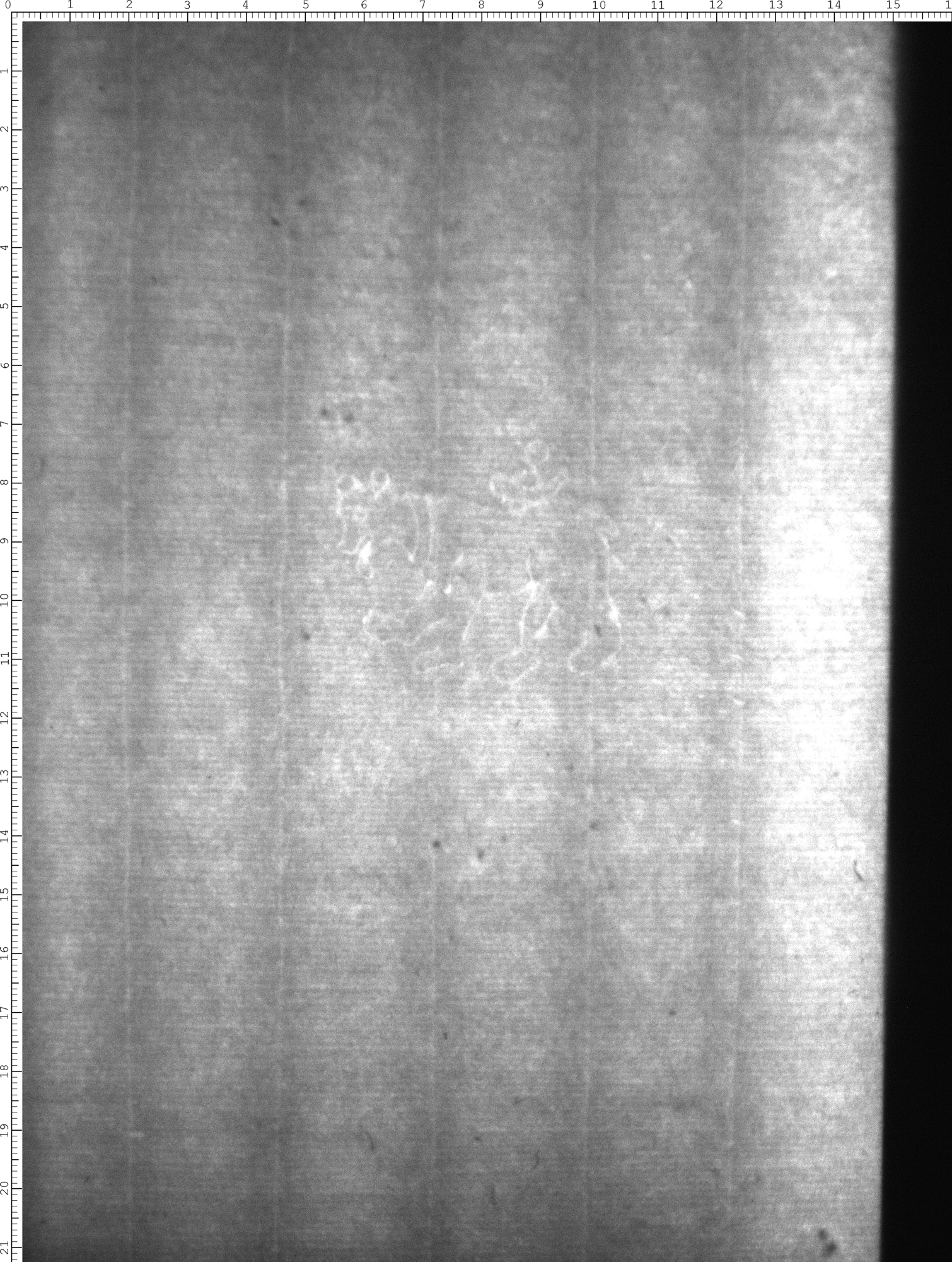 Watermark