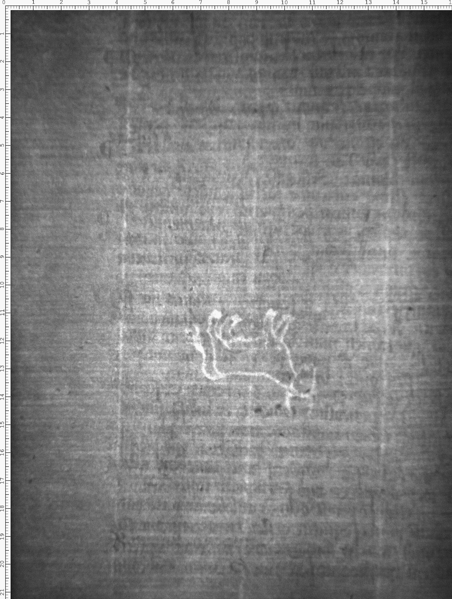 Watermark