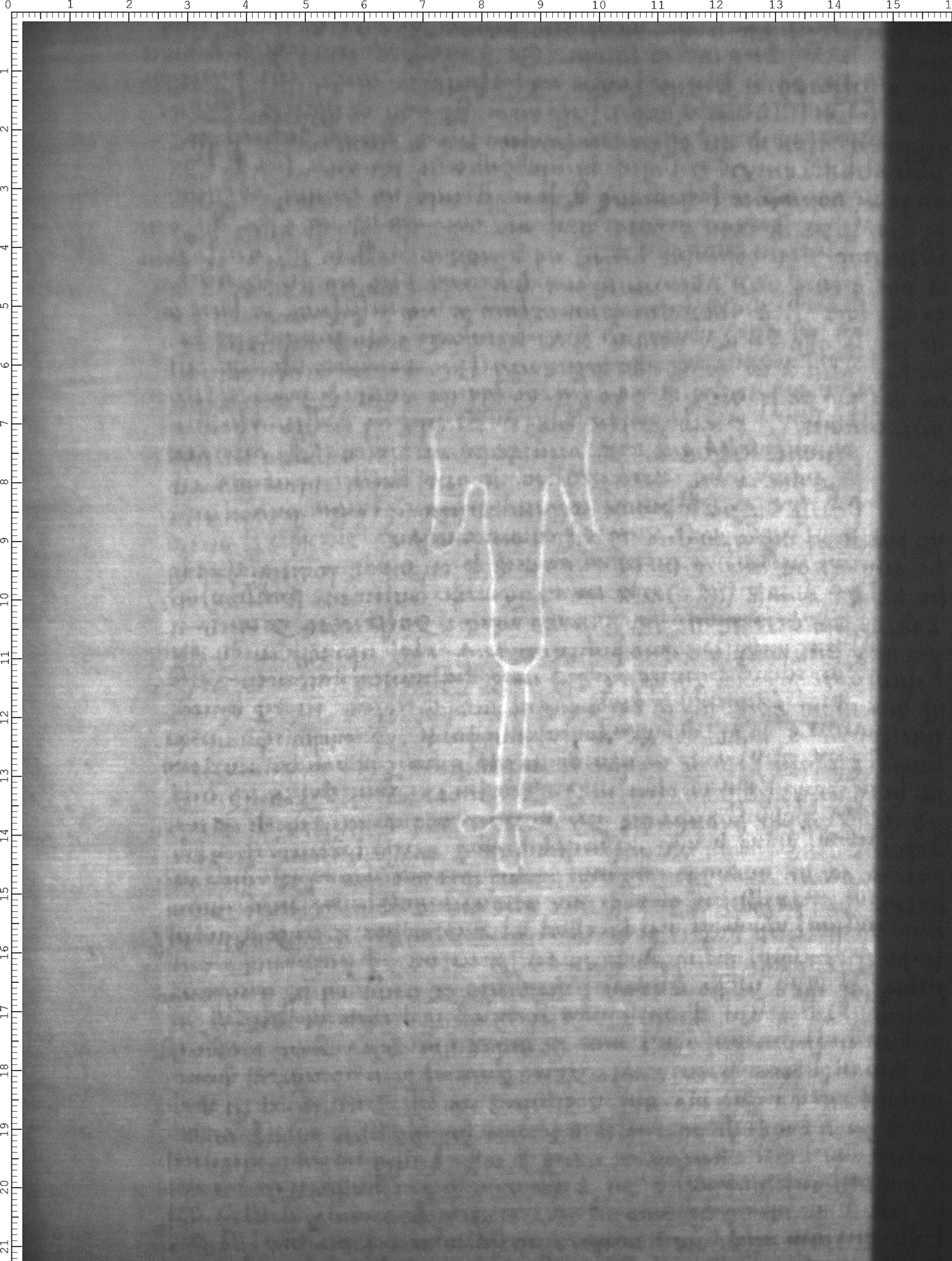 Watermark