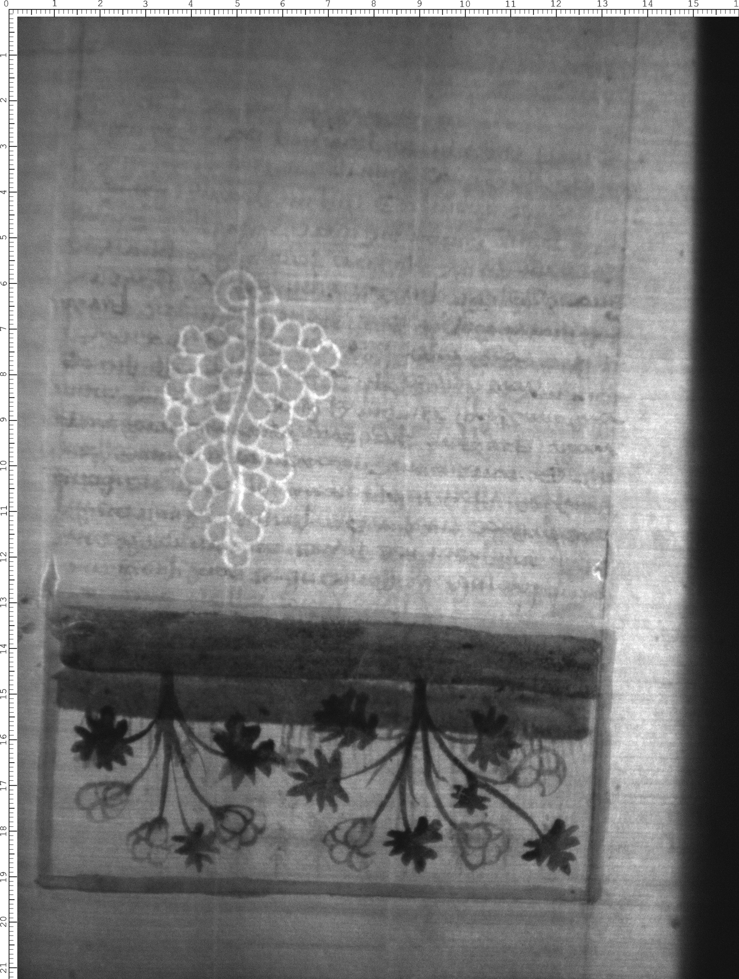 Watermark