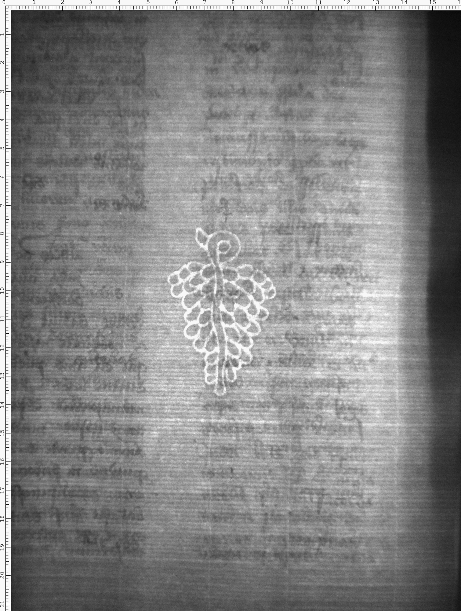 Watermark