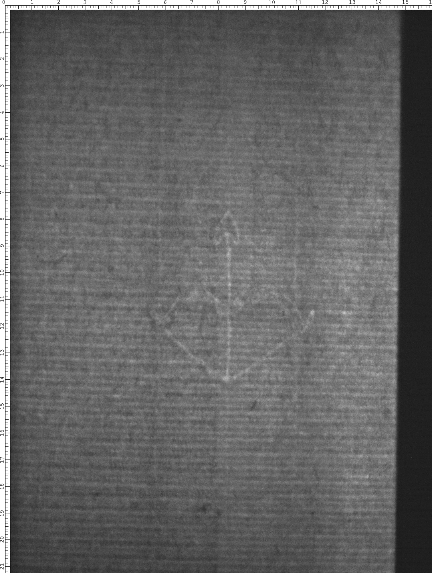 Watermark