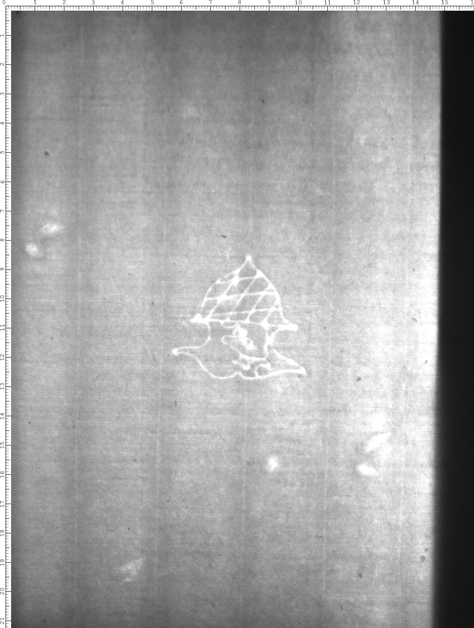 Watermark