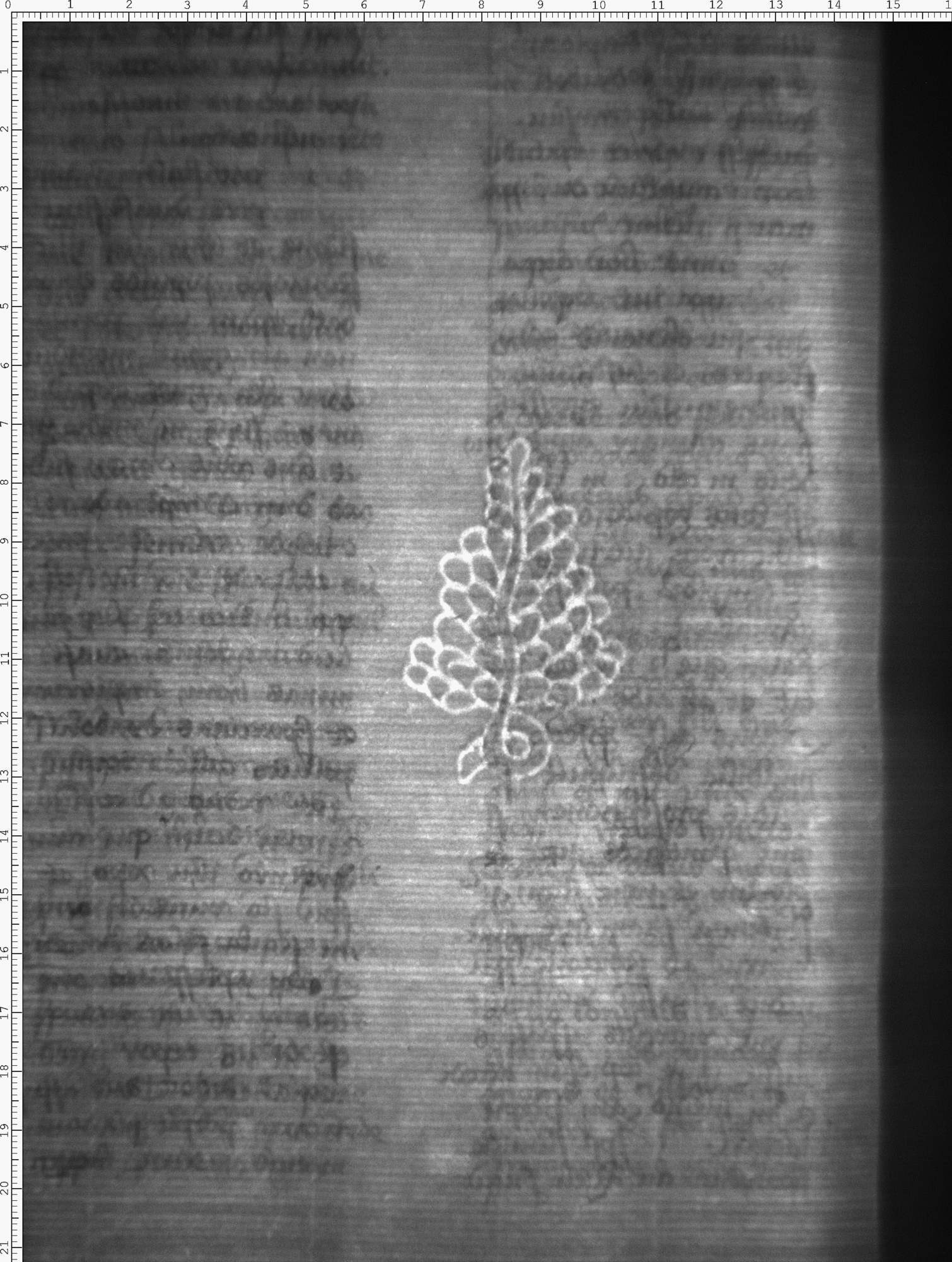 Watermark
