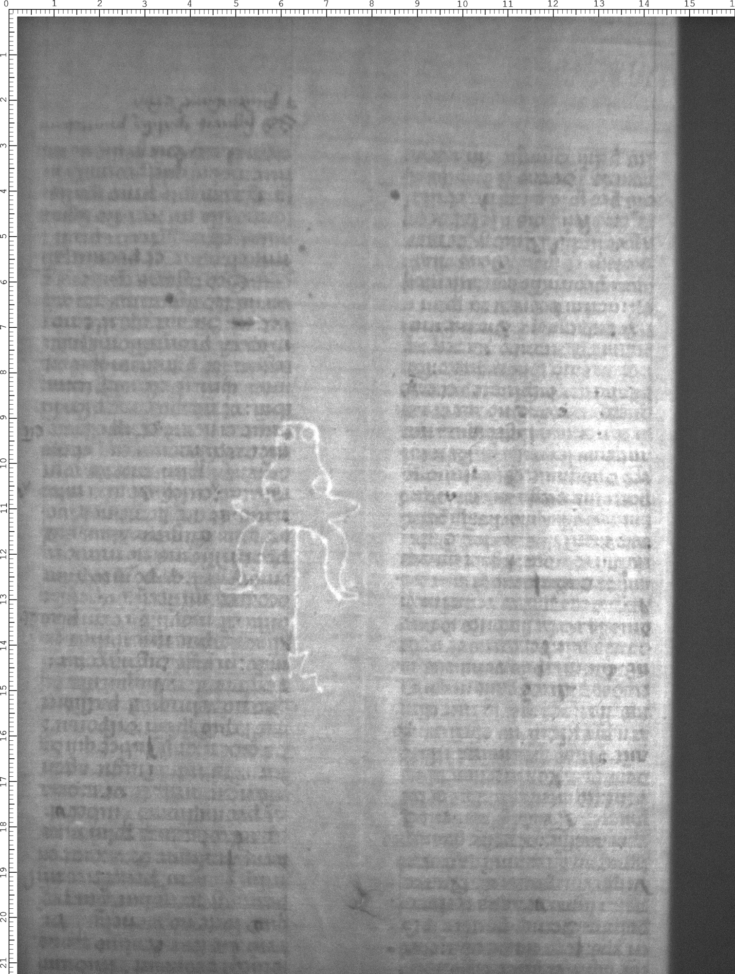 Watermark