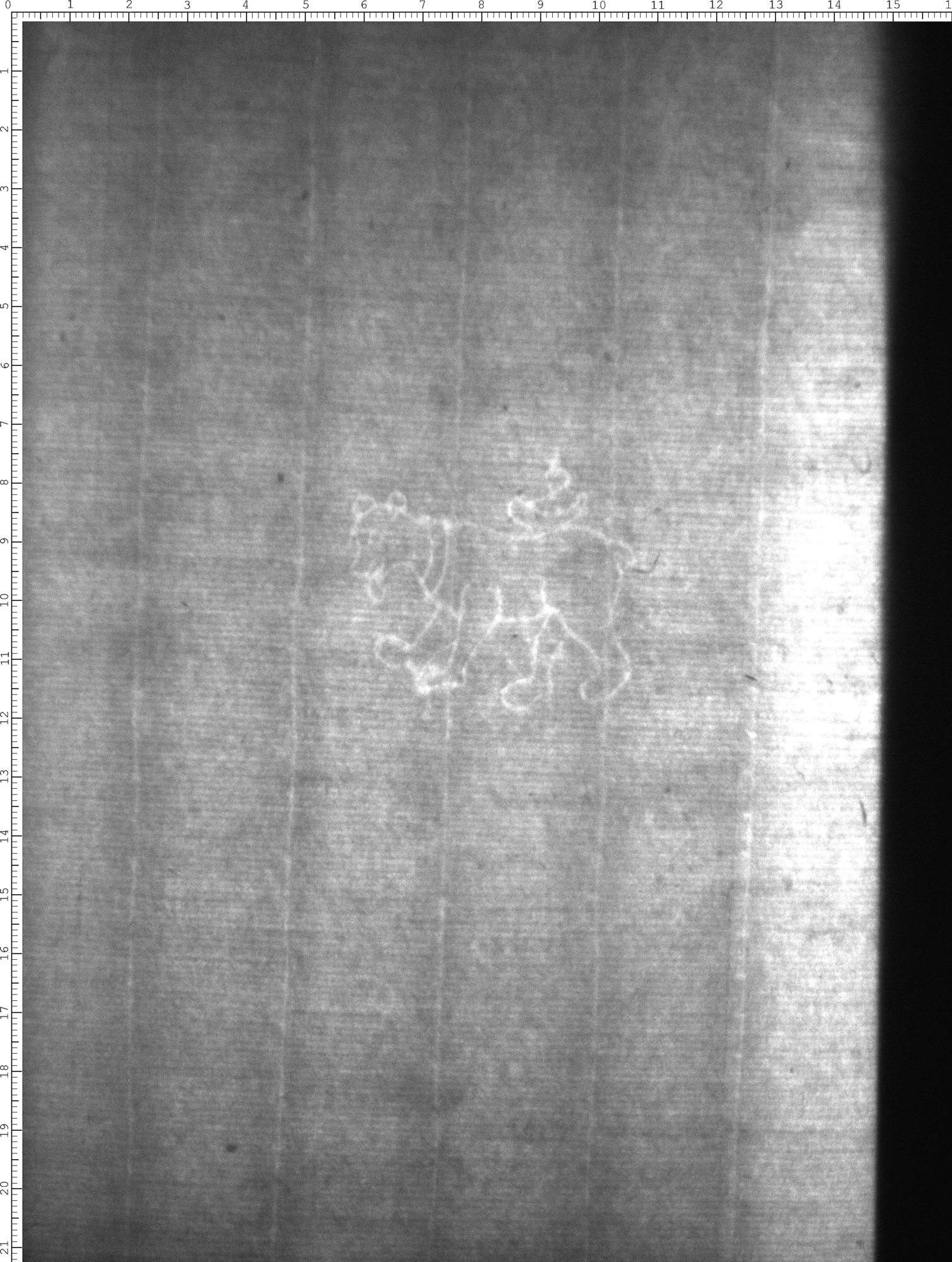 Watermark