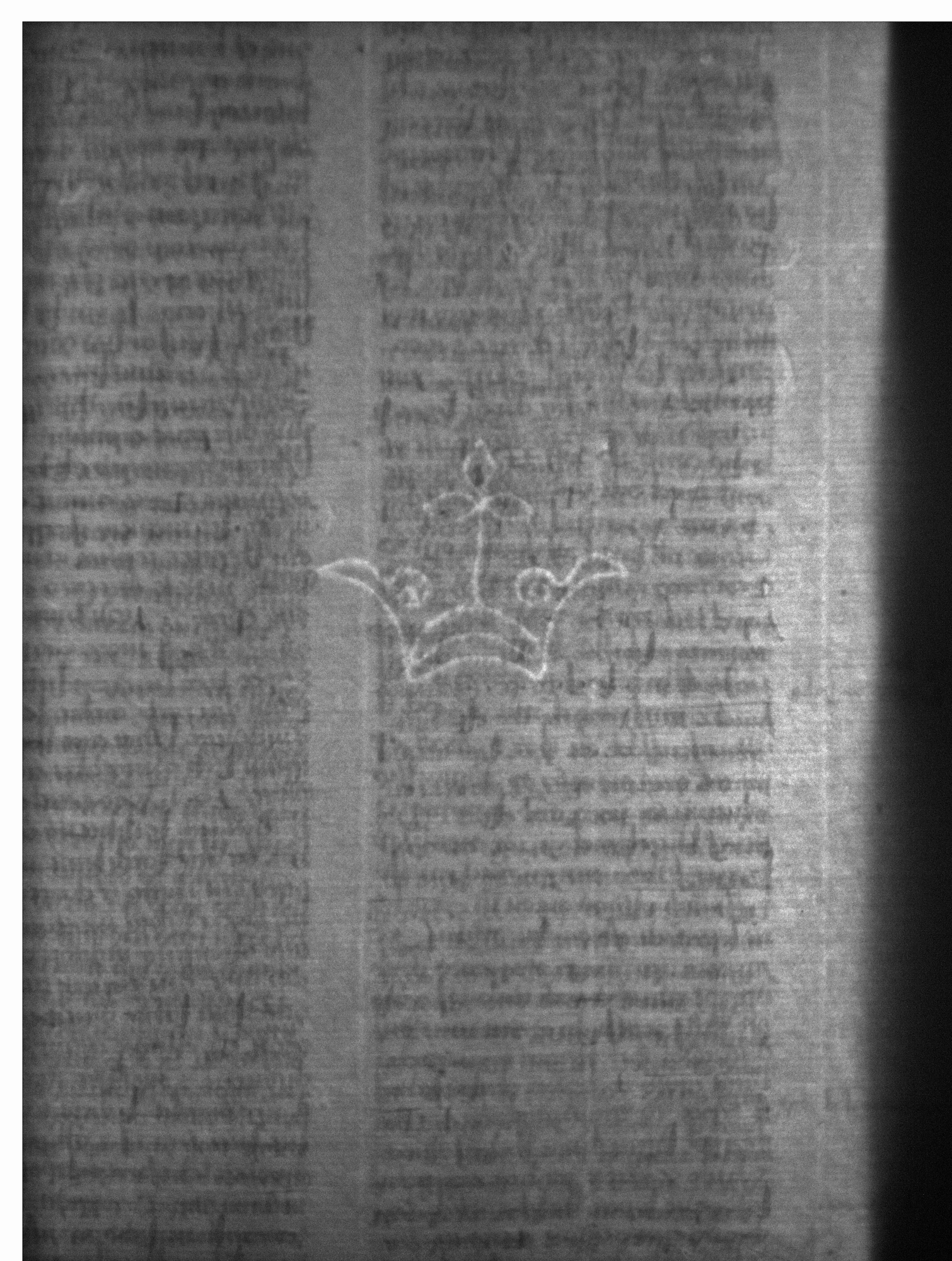 Watermark