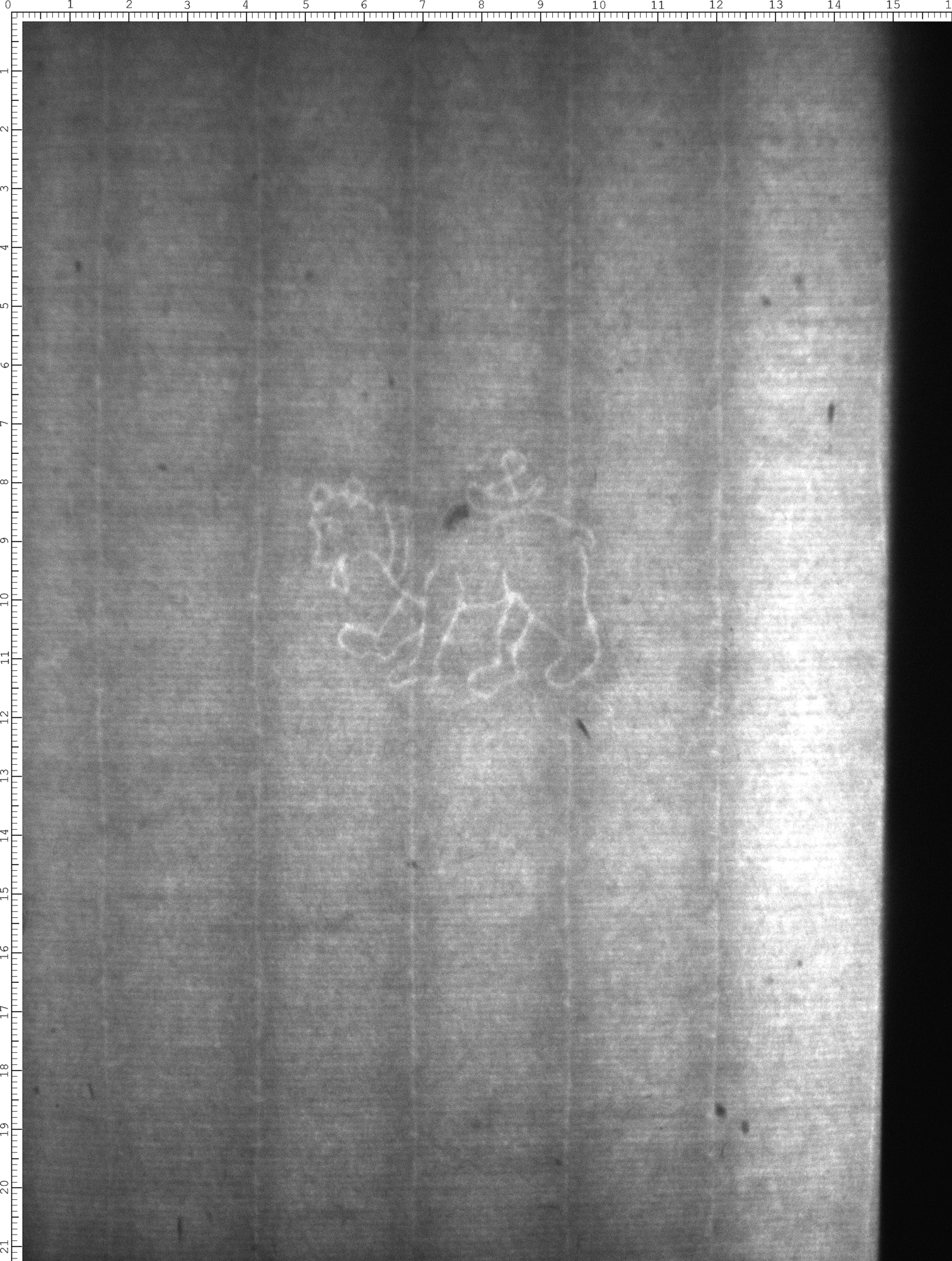 Watermark