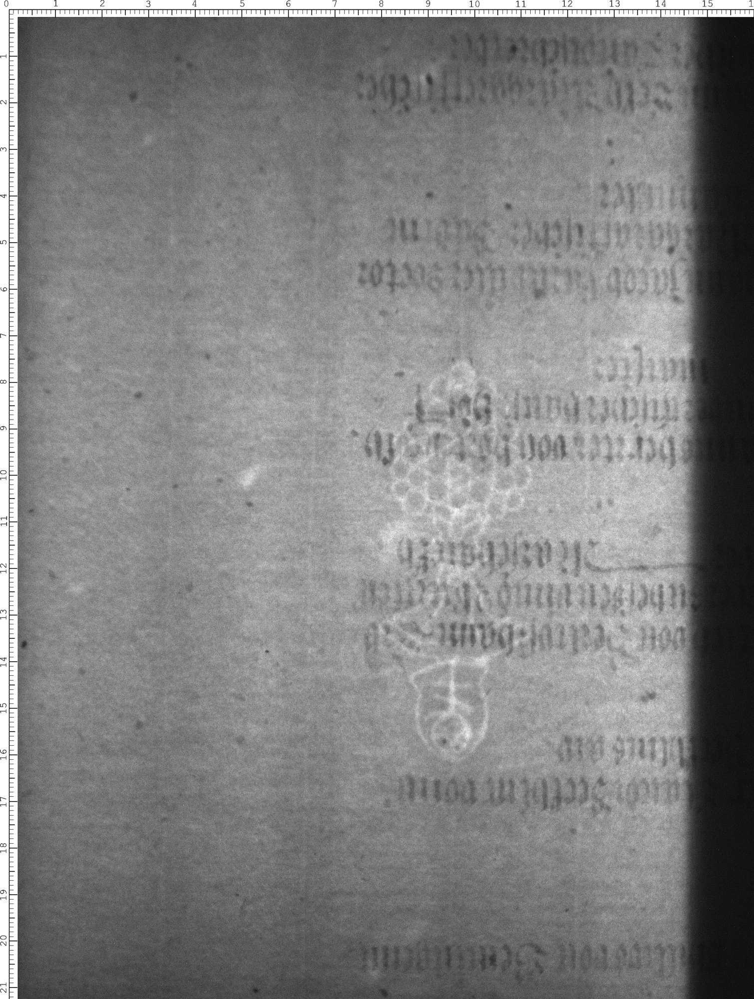 Watermark