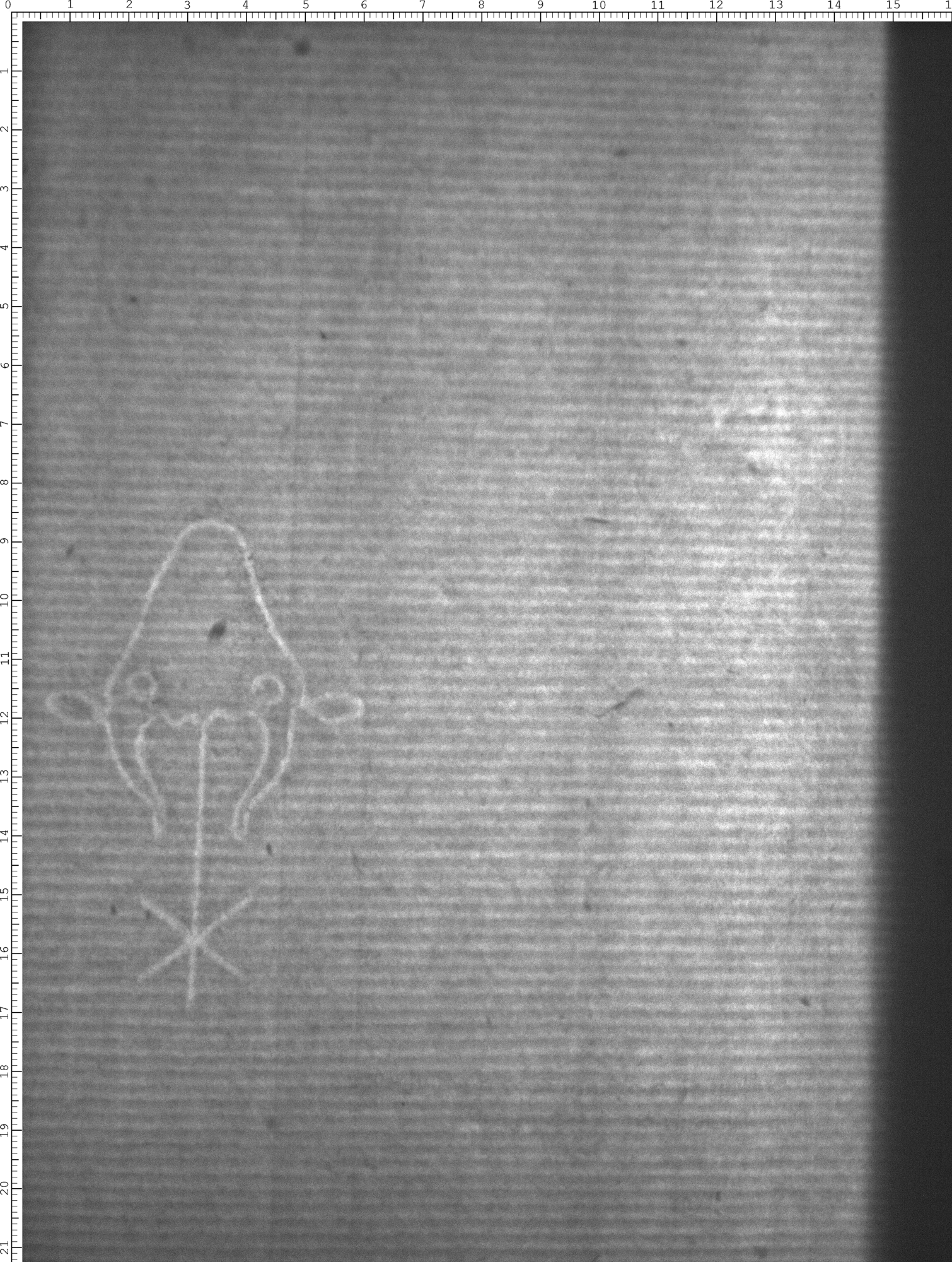 Watermark