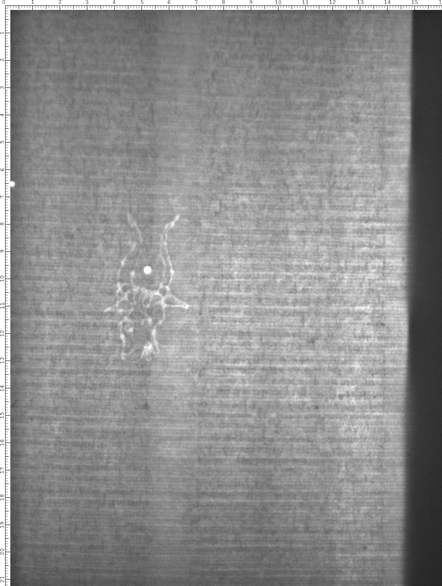 Watermark