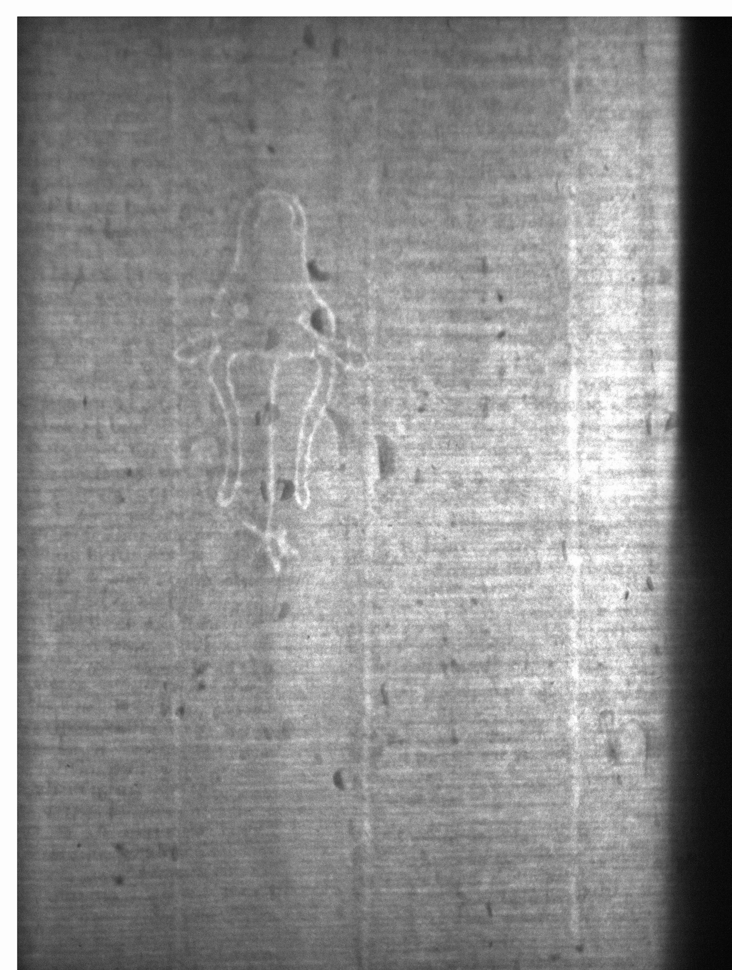 Watermark