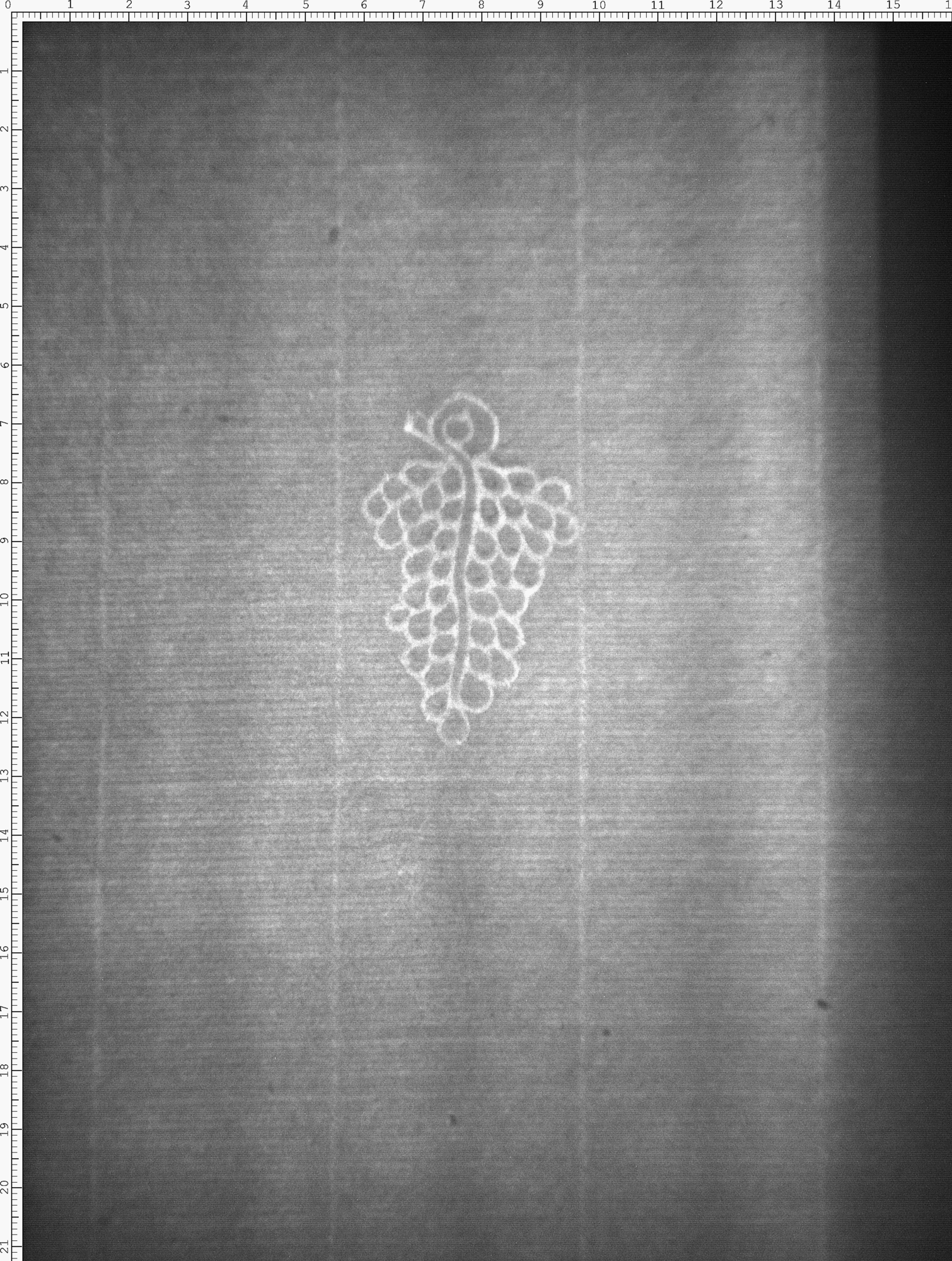 Watermark