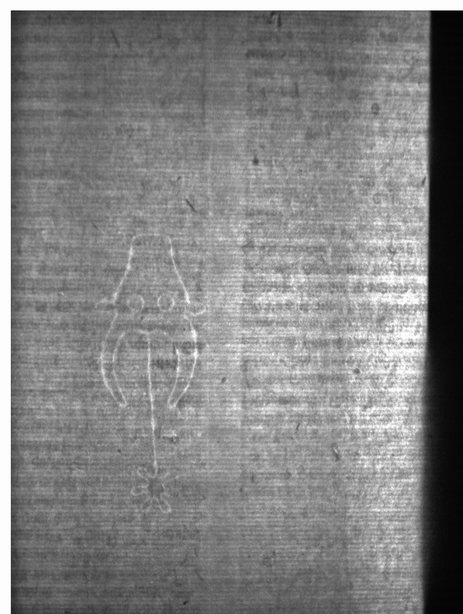 Watermark