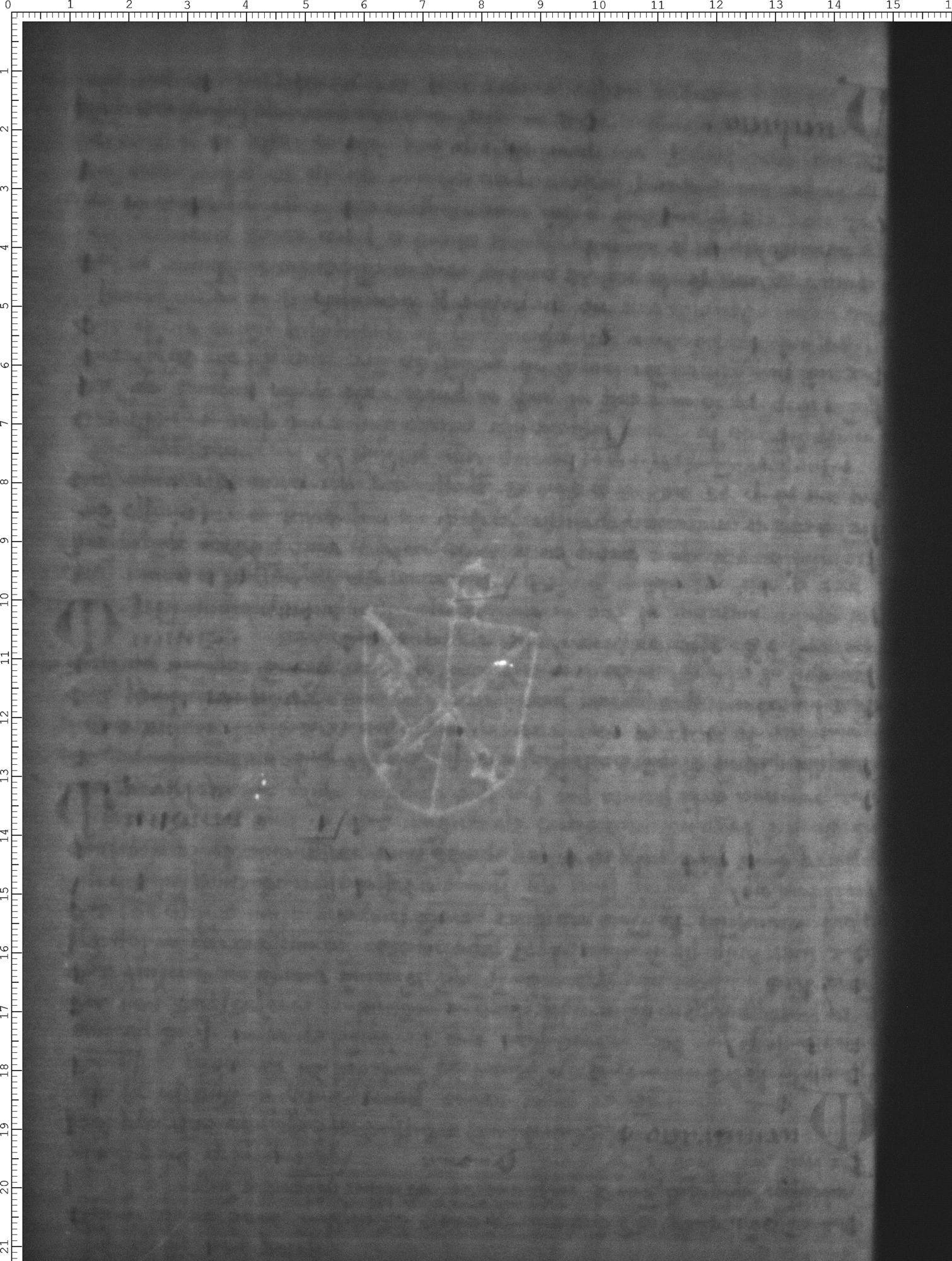 Watermark
