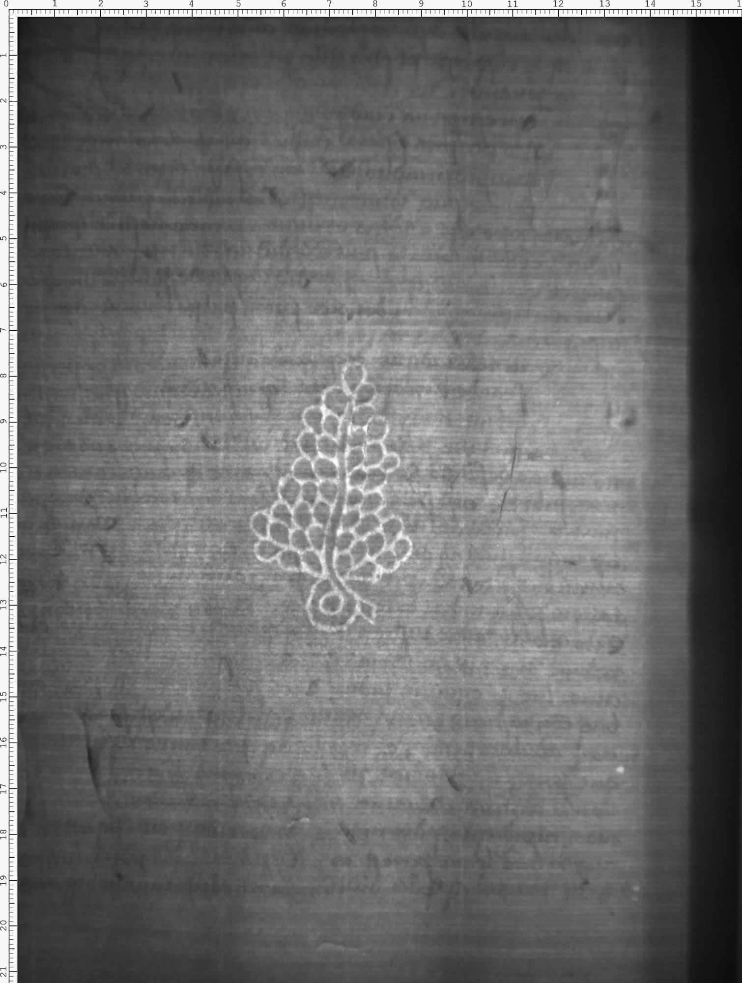 Watermark