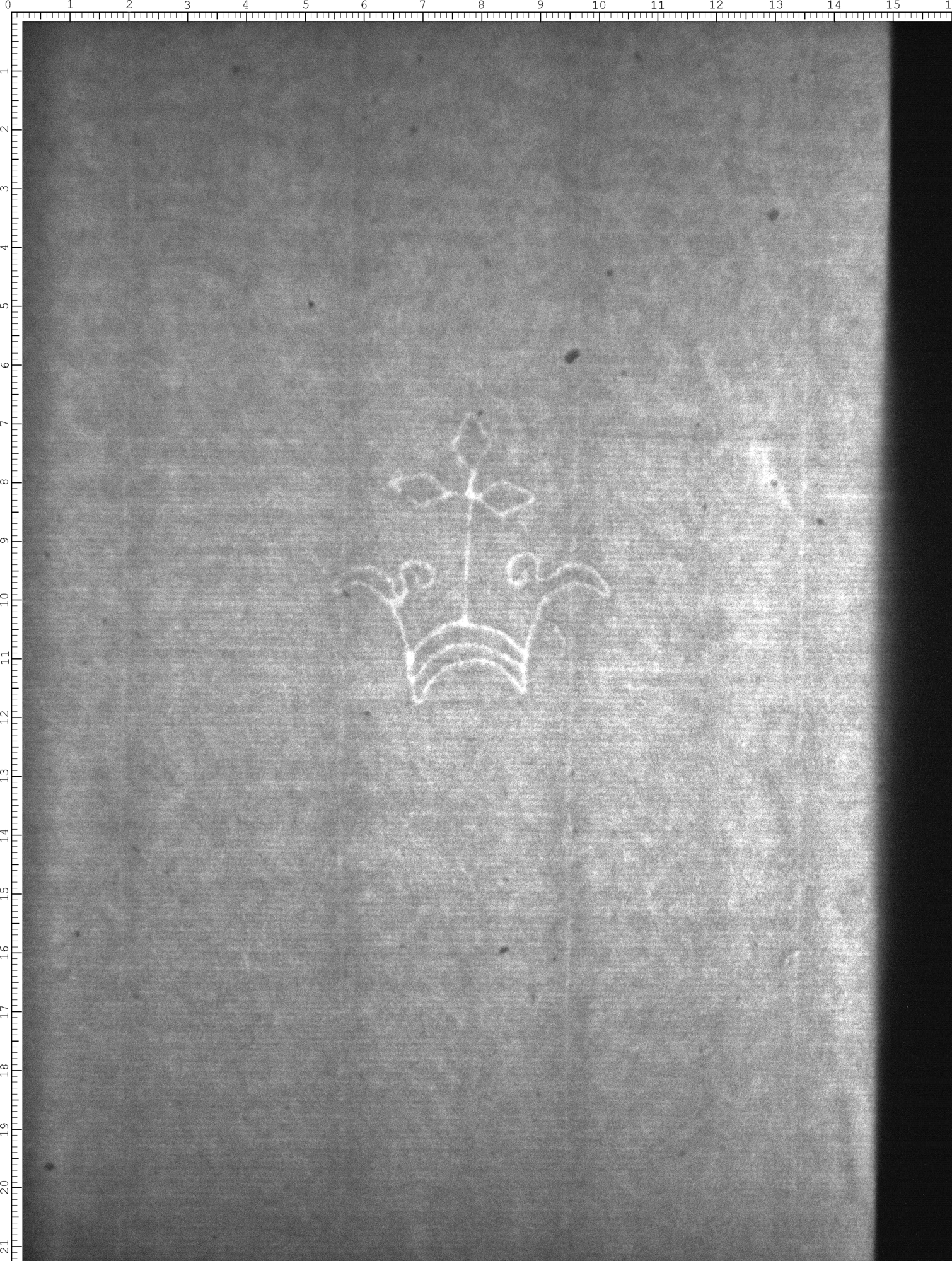 Watermark